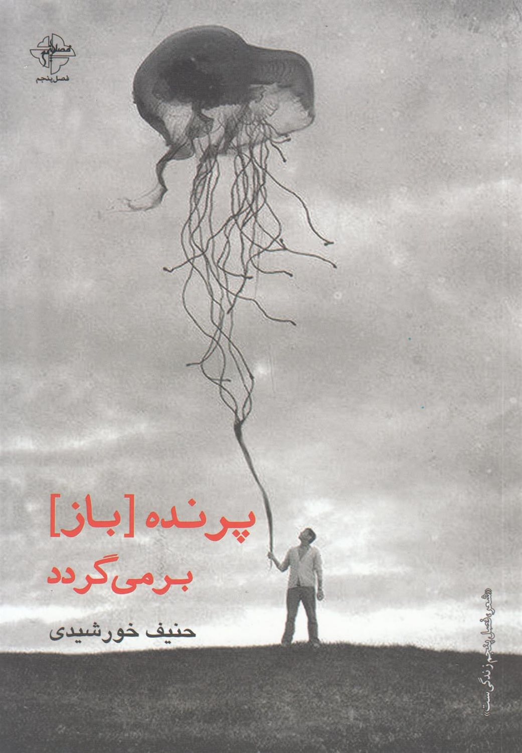 پرنده باز برمی گردد