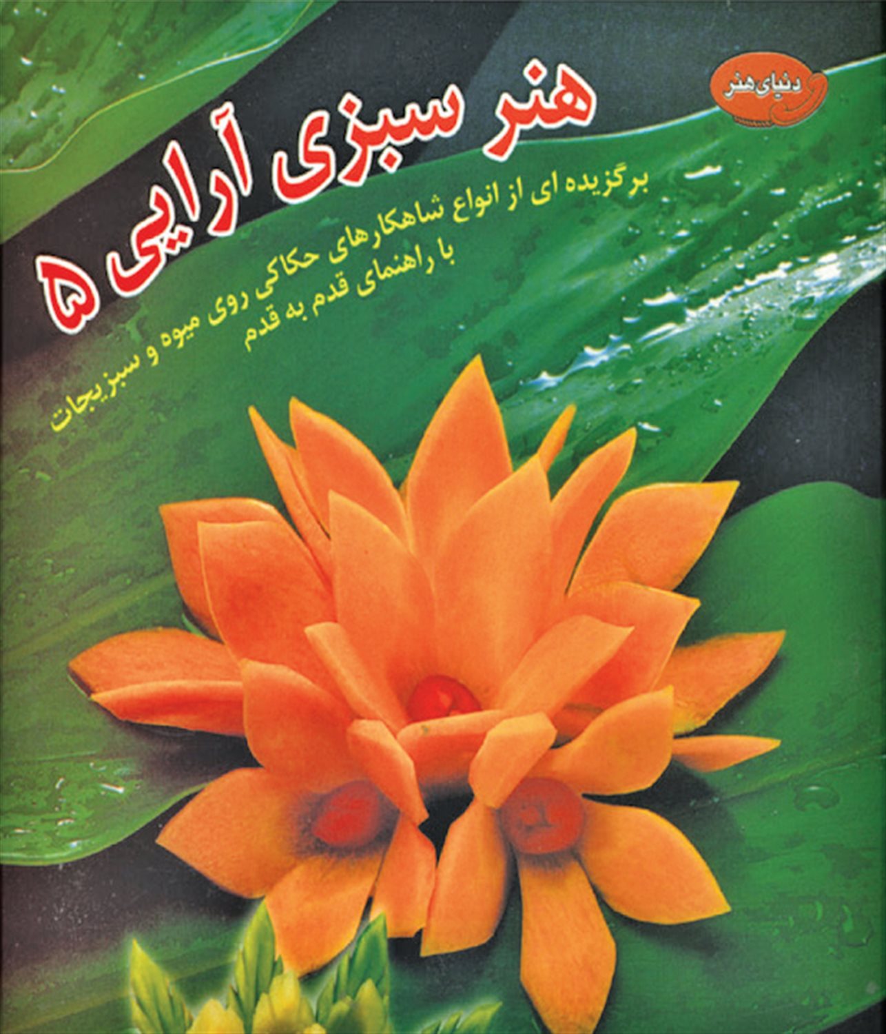 دنیای هنر سبزی آرایی 5  