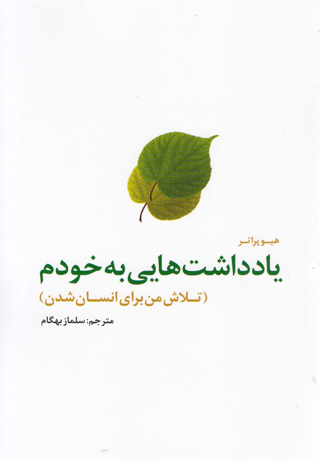 یادداشت هایی به خودم