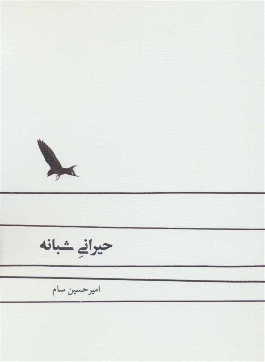 حیرانی شبانه