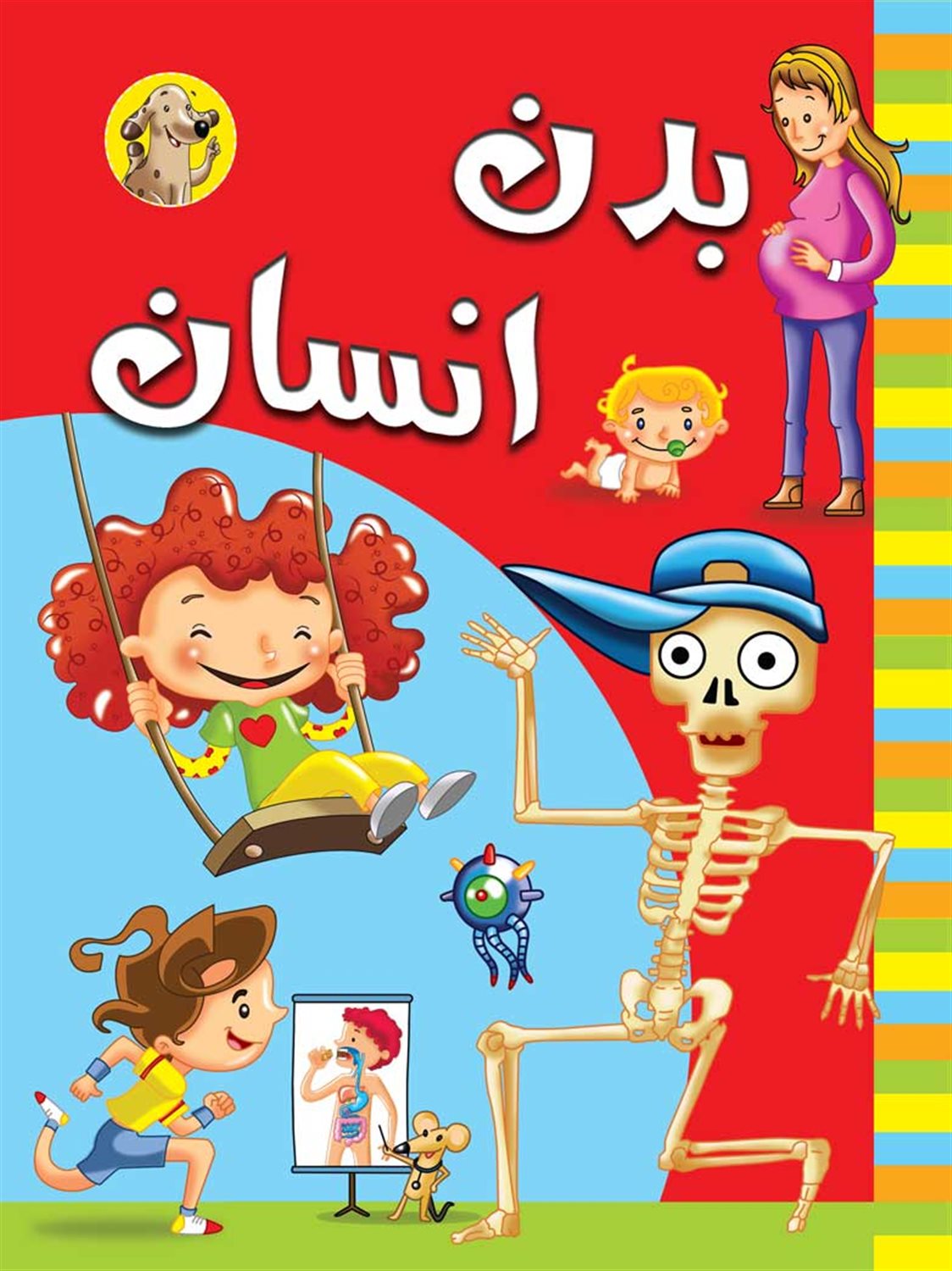 بدن انسان