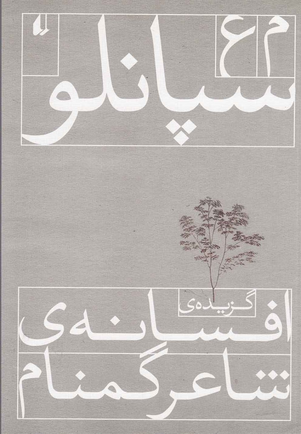 گزیده‌ی افسانه‌ی شاعر گمنام