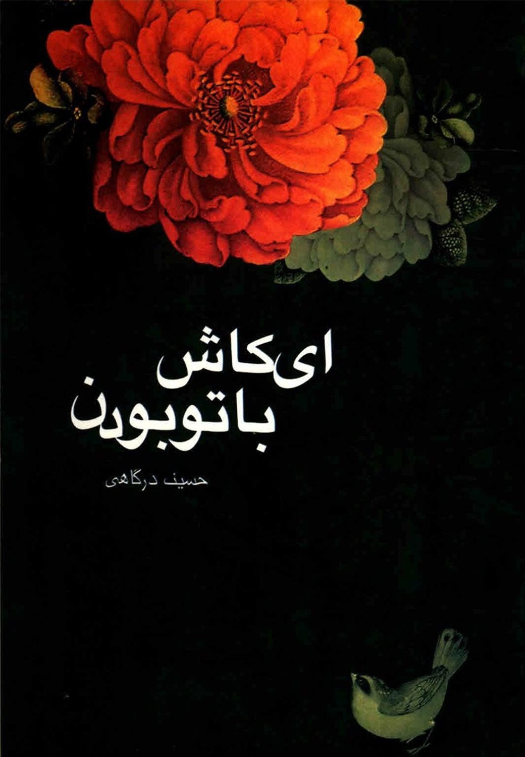 ای کاش با تو بودن