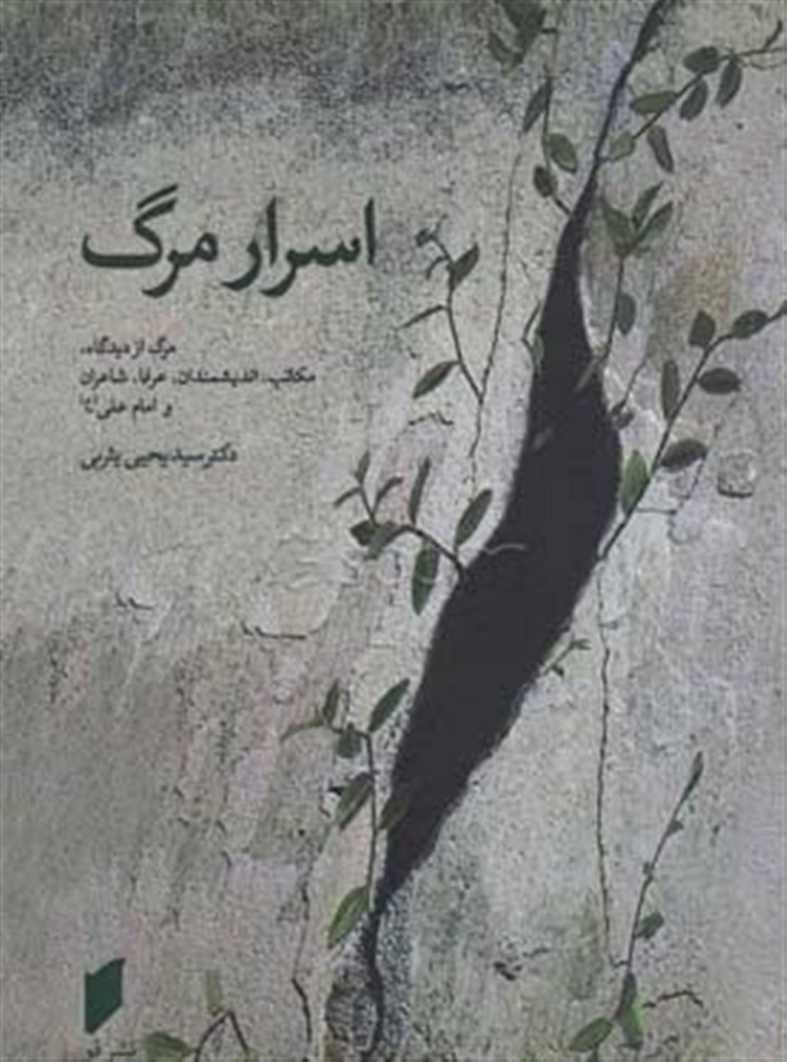 اسرار مرگ