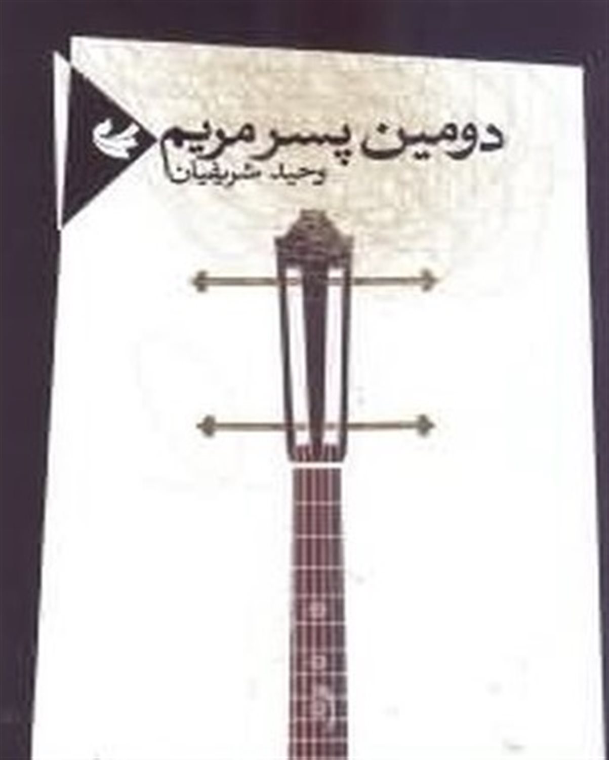 دومین پسر مریم