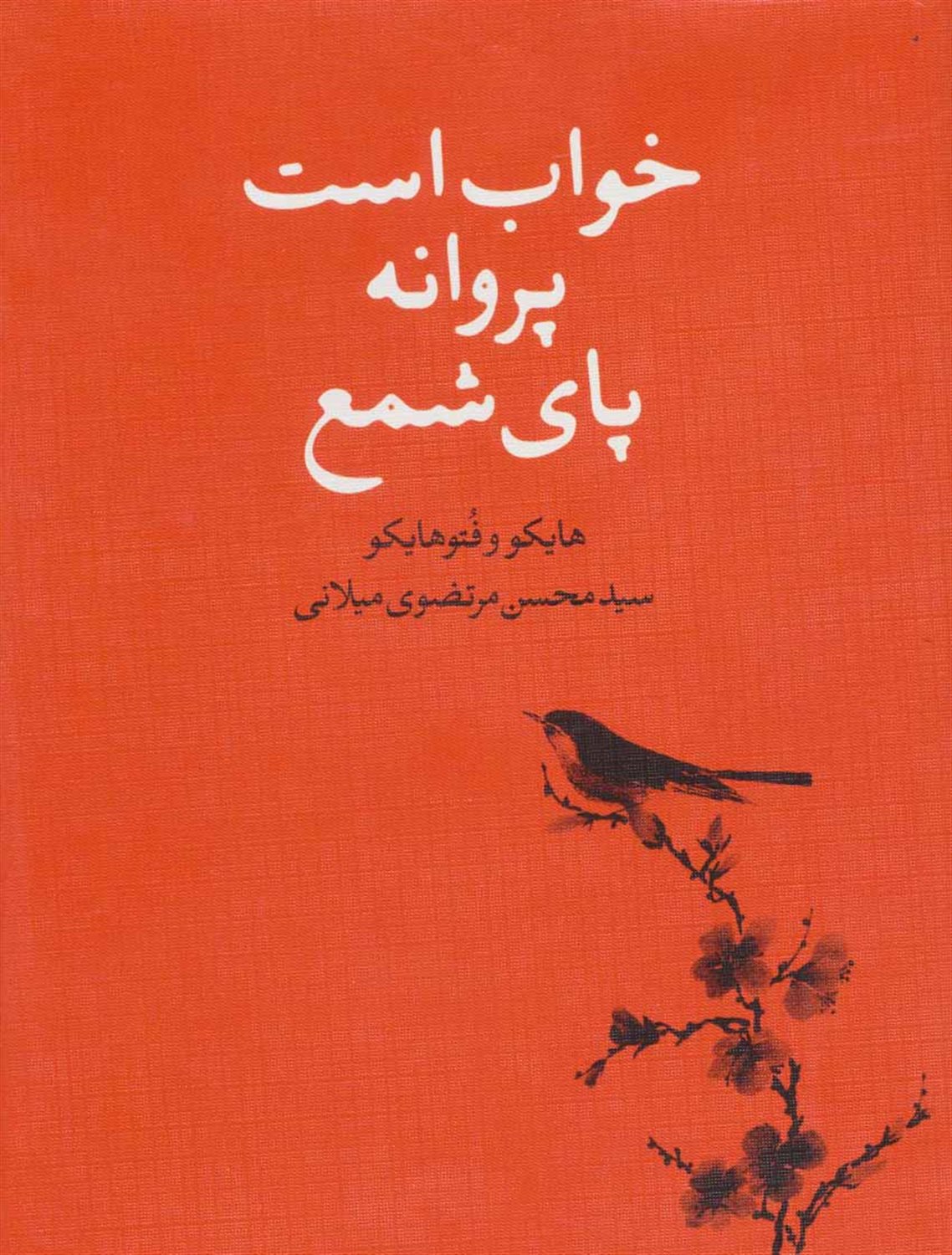 خواب است پروانه پای شمع 