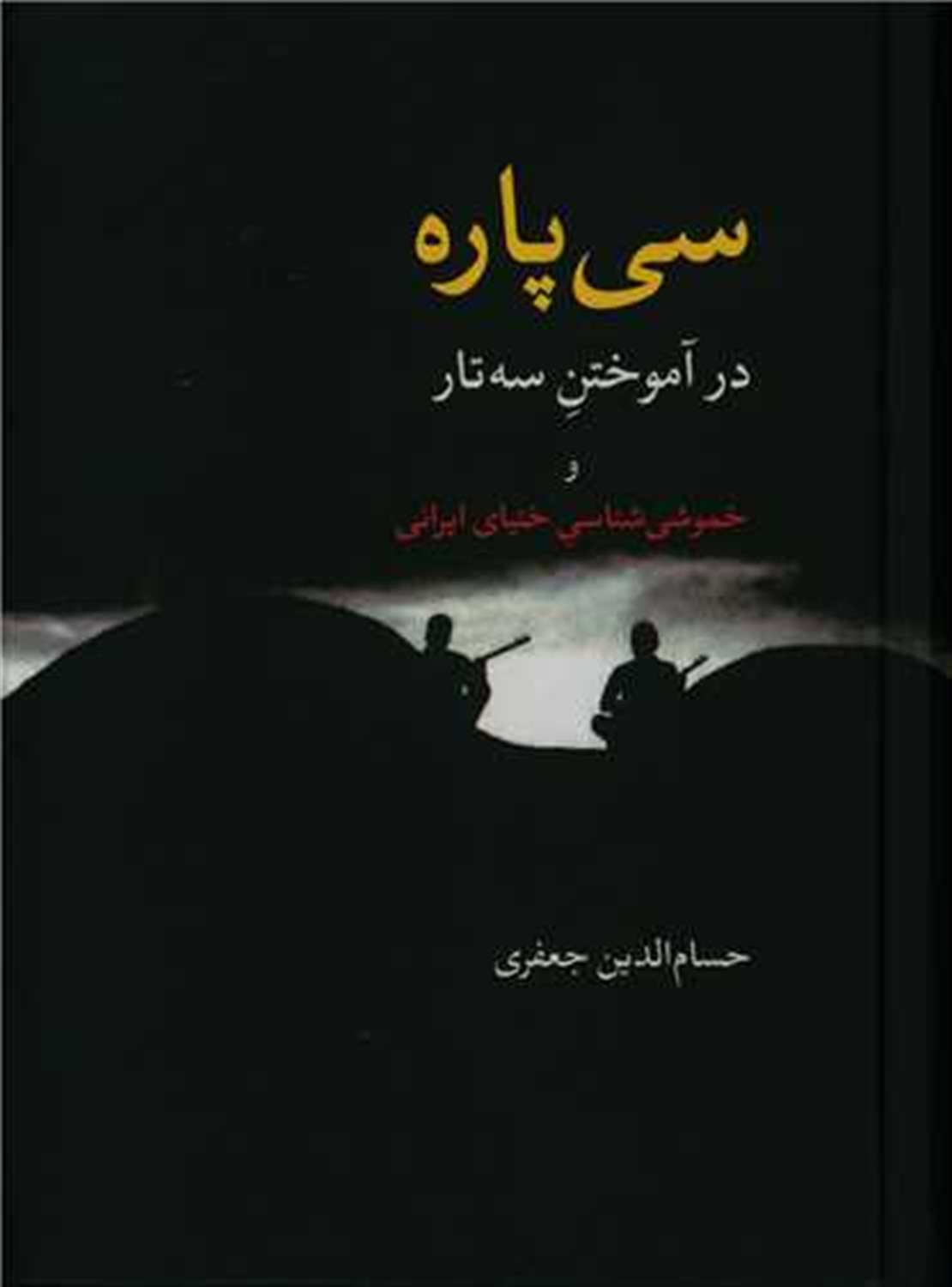 سی پاره در آموختن سه‌تار
