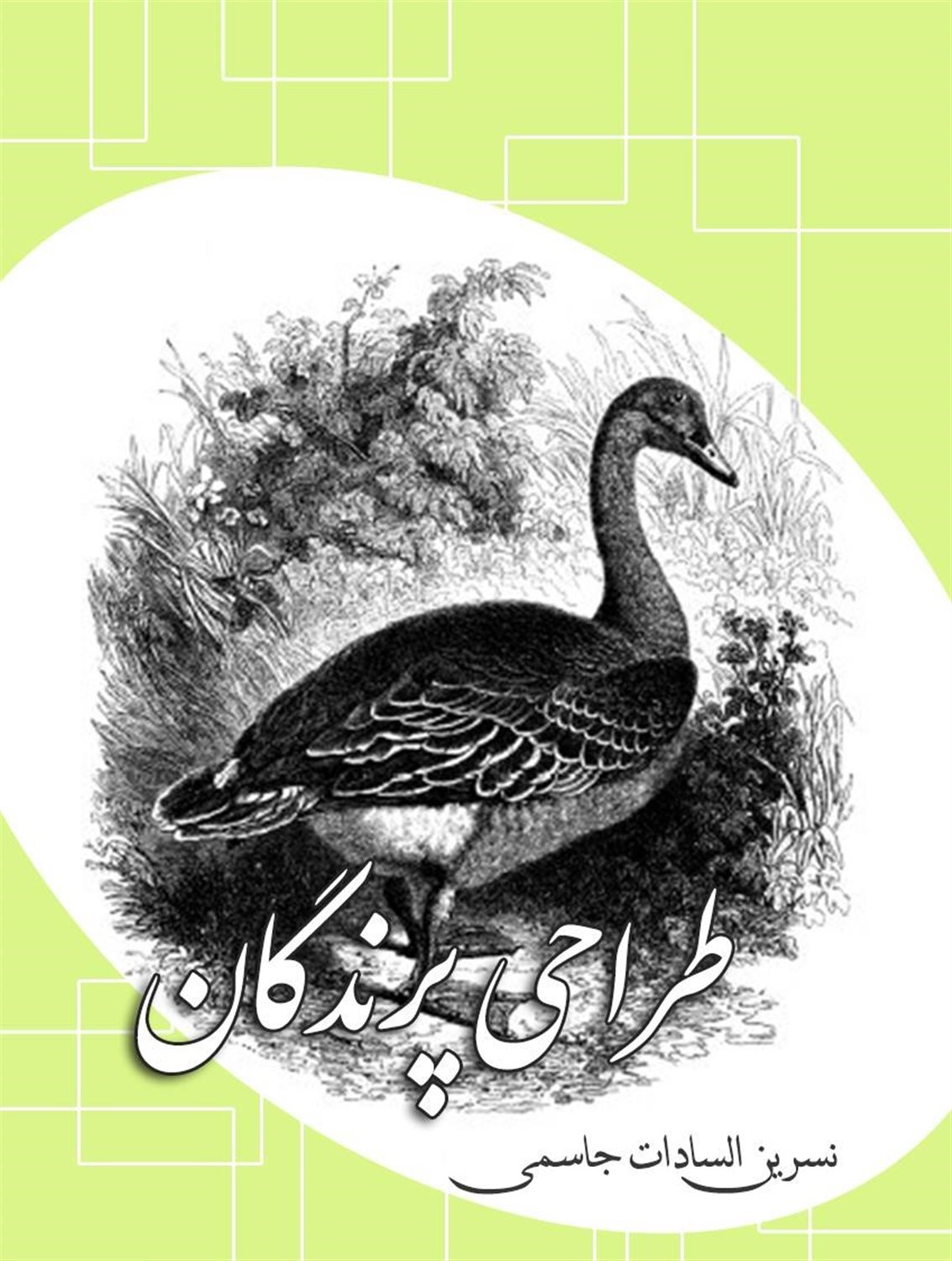 طراحی پرندگان
