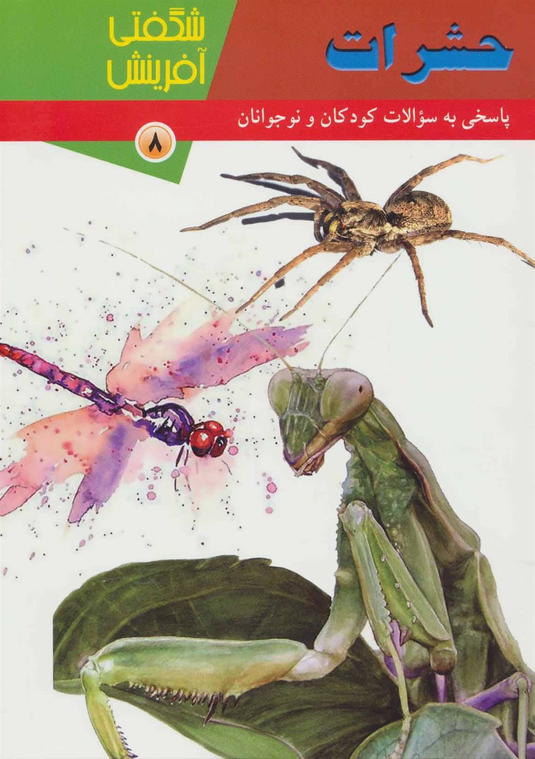 حشرات (شگفتی آفرینش 8)