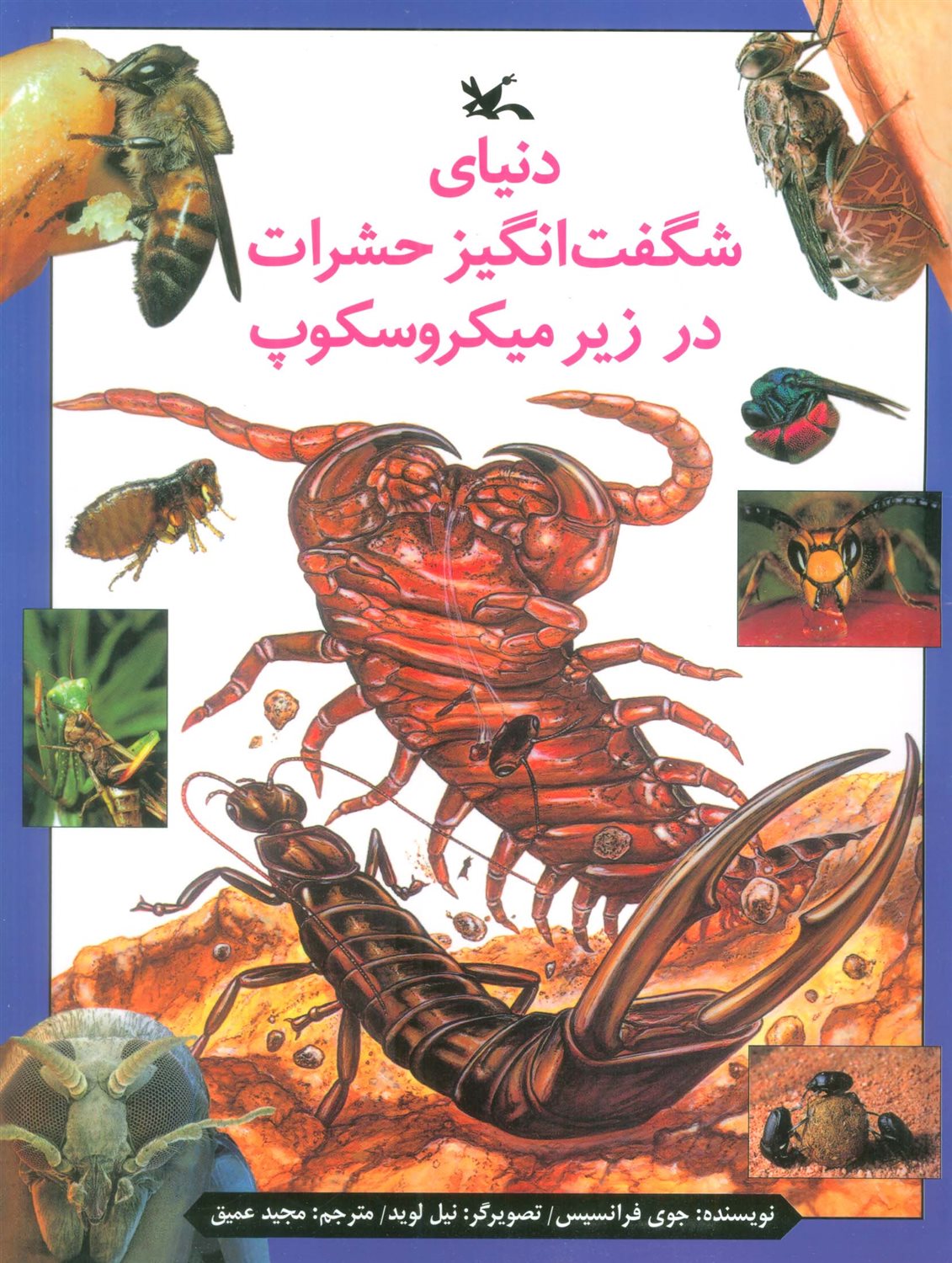 دنیای شگفت‌انگیز حشرات در زیر میکروسکوپ