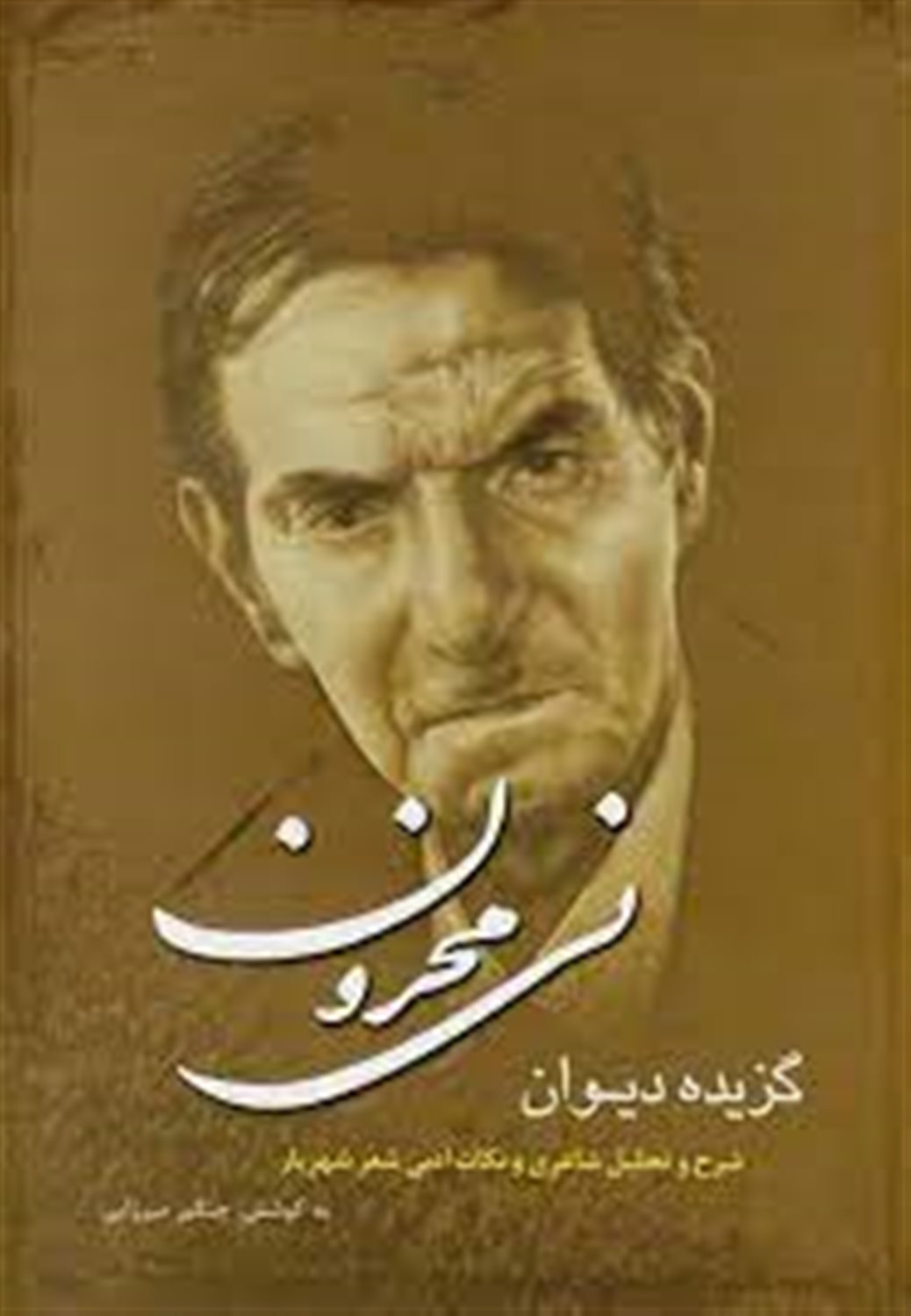 نی محزون: شرح و تحلیل شاعری و نکات ادبی شعر شهریار