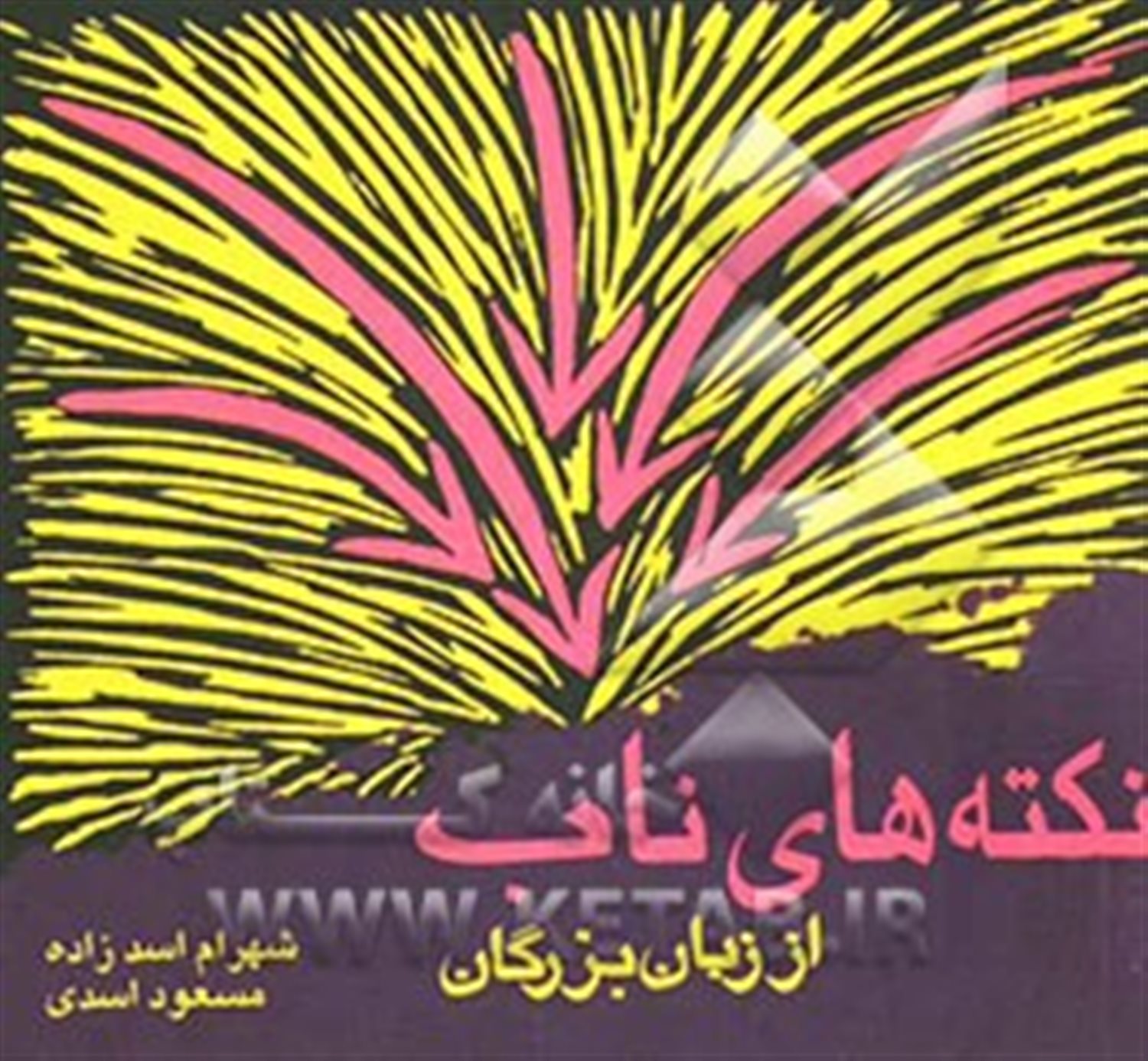 نکته های ناب از زبان بزرگان