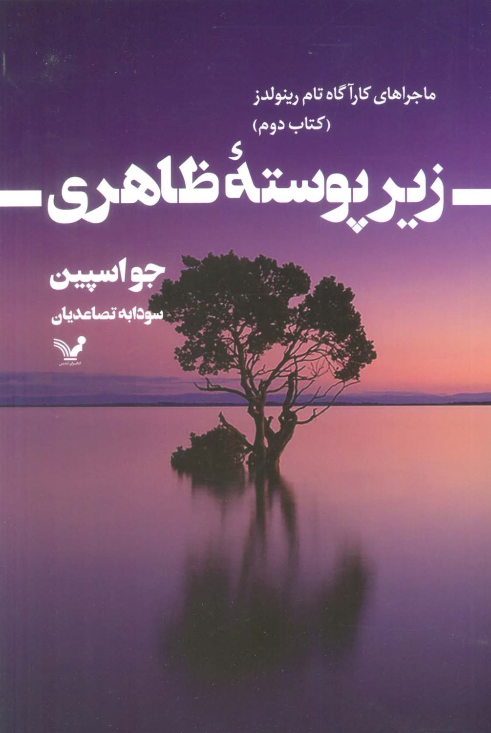 ماجراهای کارآگاه تام رینولدز 2 (زیر پوسته ظاهری)