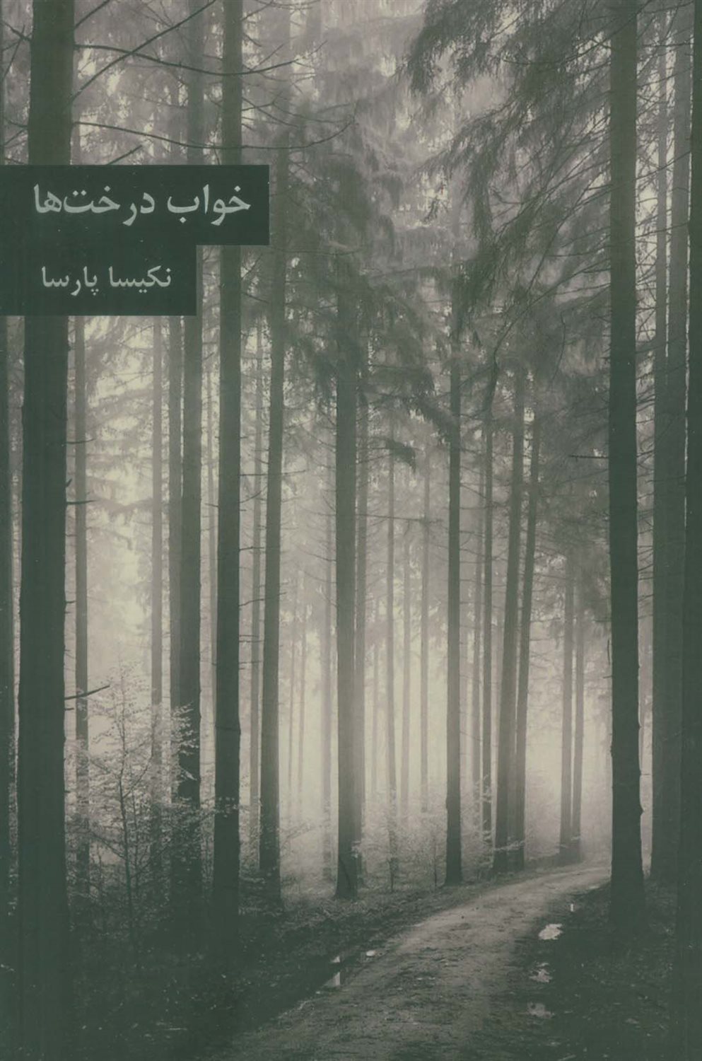 خواب درخت‌ها