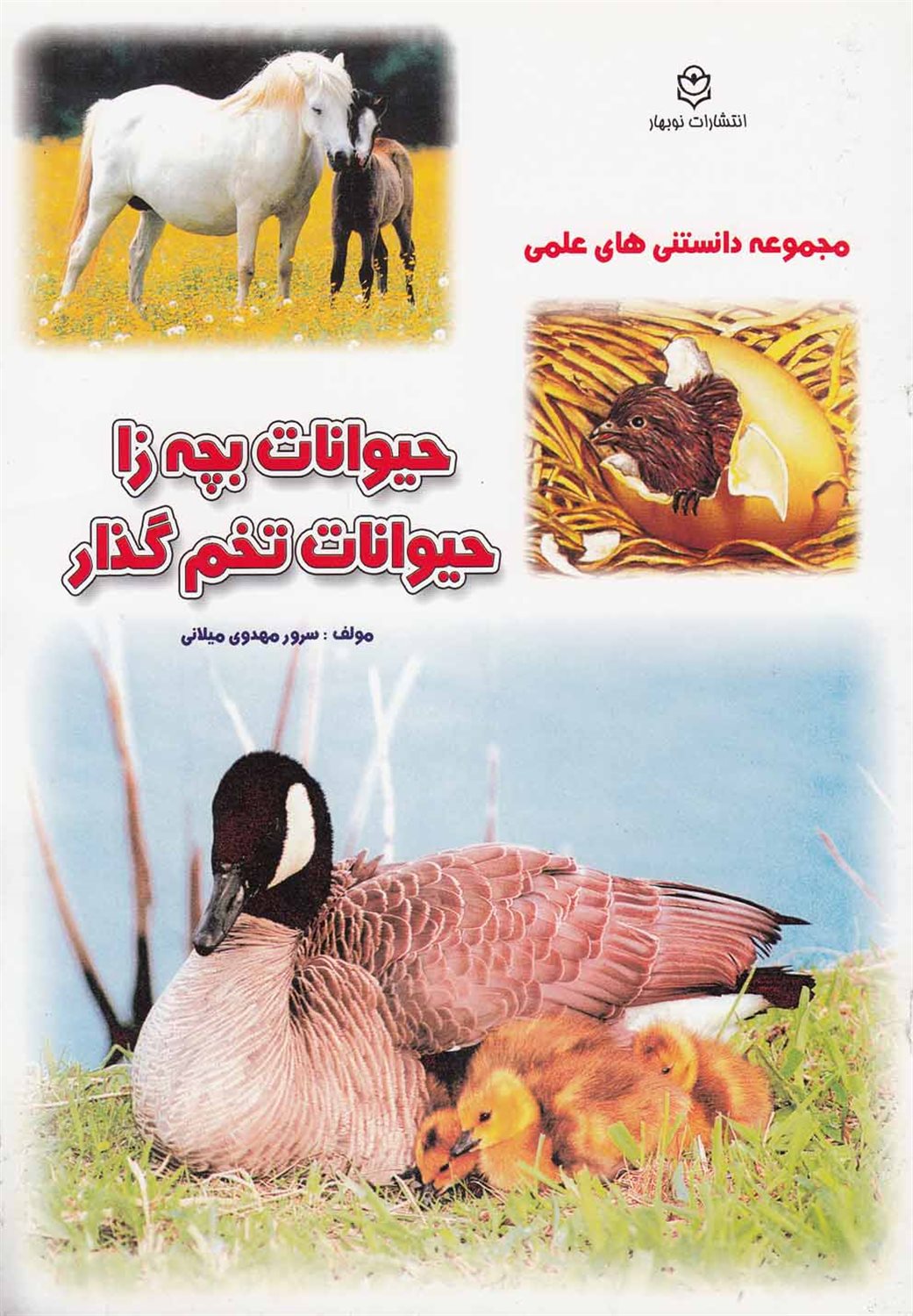 حیوانات بچه زا، حیوانات تخم گذار