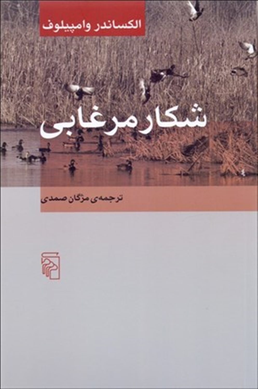 شکار مرغابی