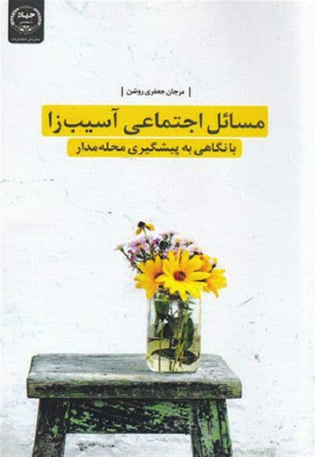 مسائل اجتماعی آسیب زا با نگاهی به پیشگیری محله مدار