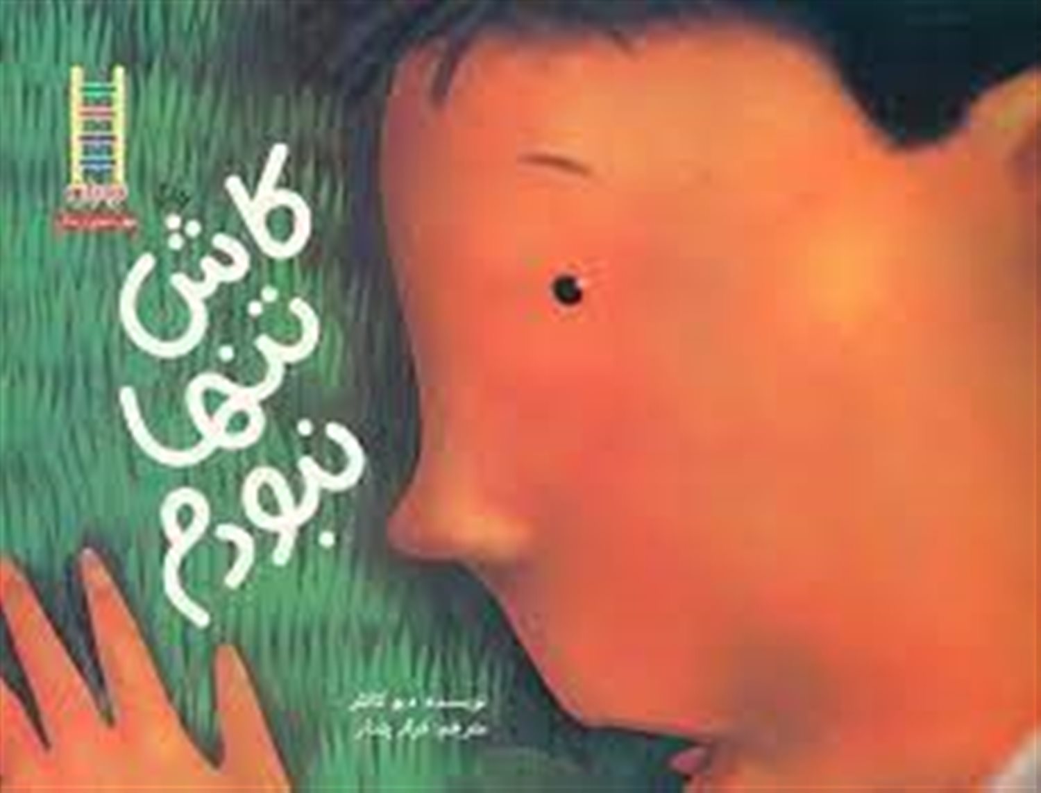 کاش تنها نبودم 