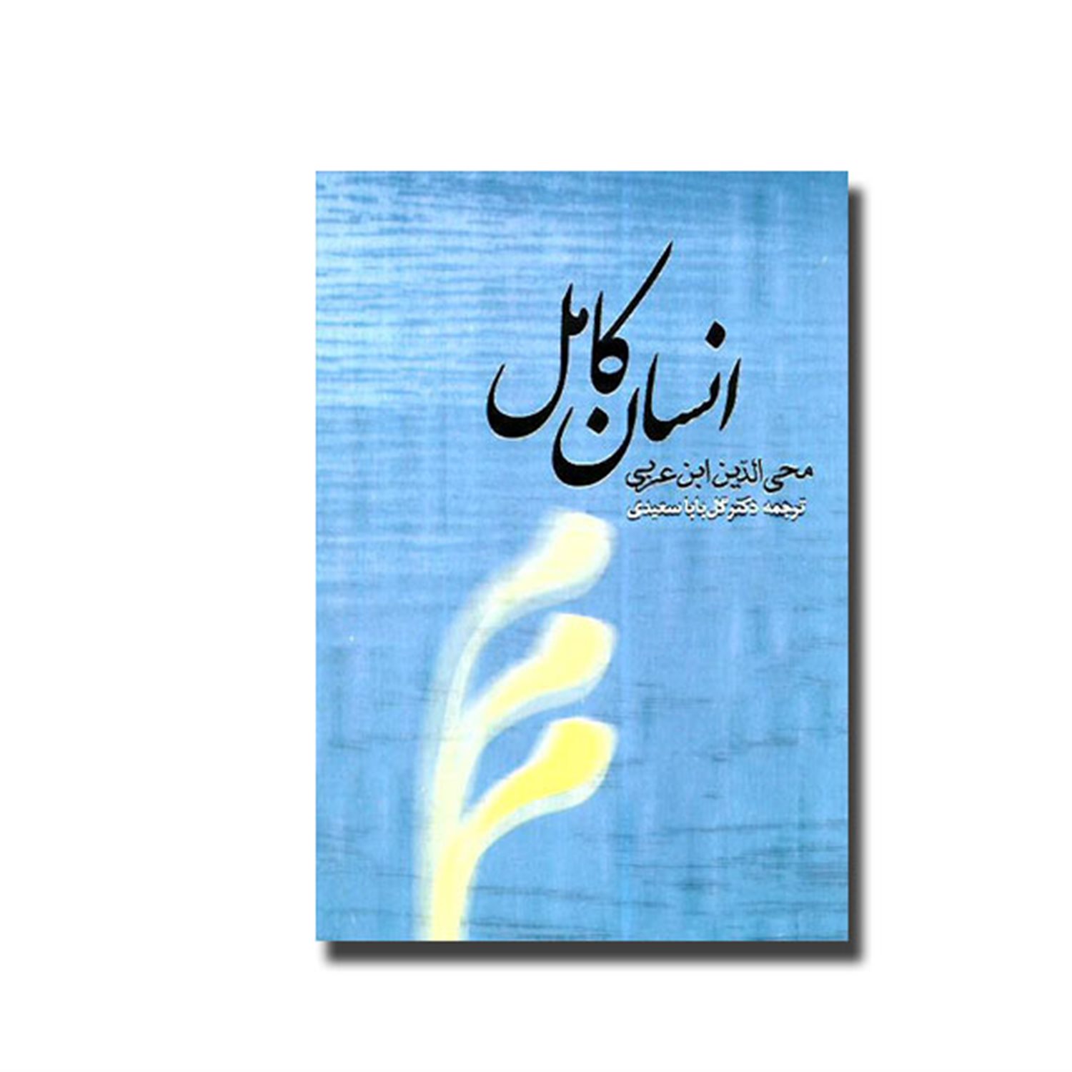 انسان کامل محی الدین ابن عربی