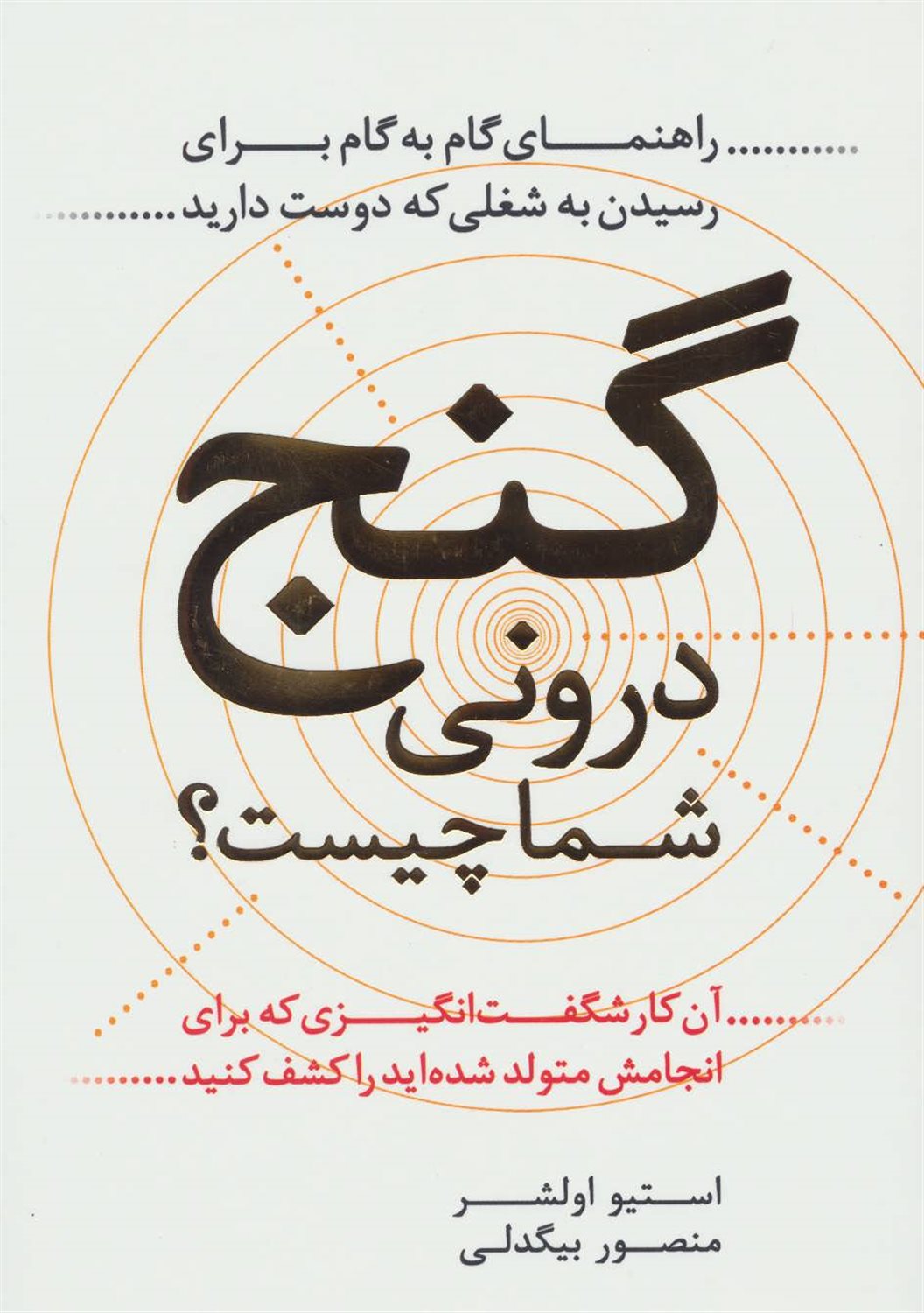 گنج درونی شما چیست؟ آن کار شگفت انگیزی که برای انجامش متولد شده اید را کشف کنید: راهنمای گام به گام برای رسیدن به شغلی که دوست دارید