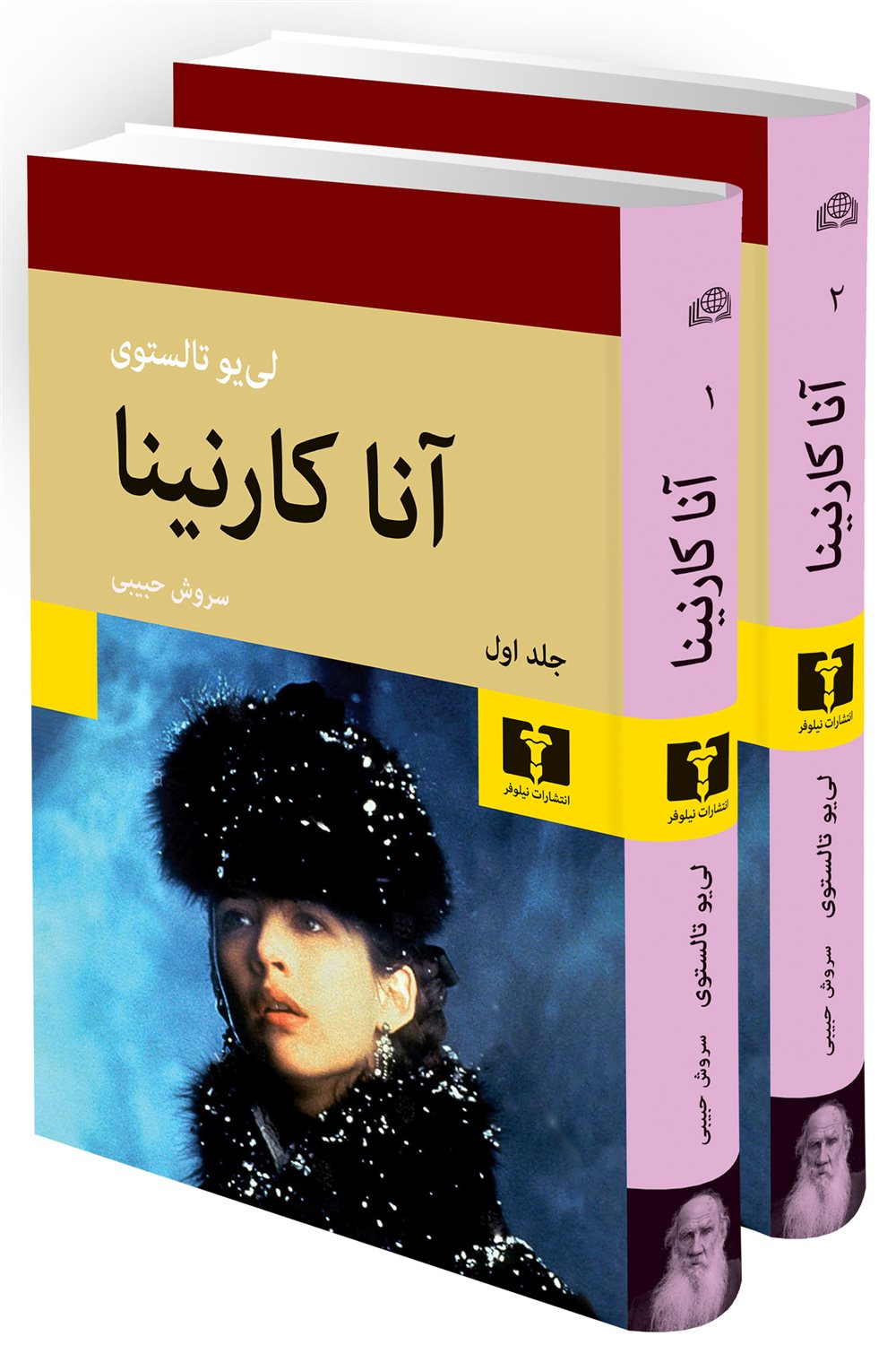 آناکارنینا (دو جلدی) 