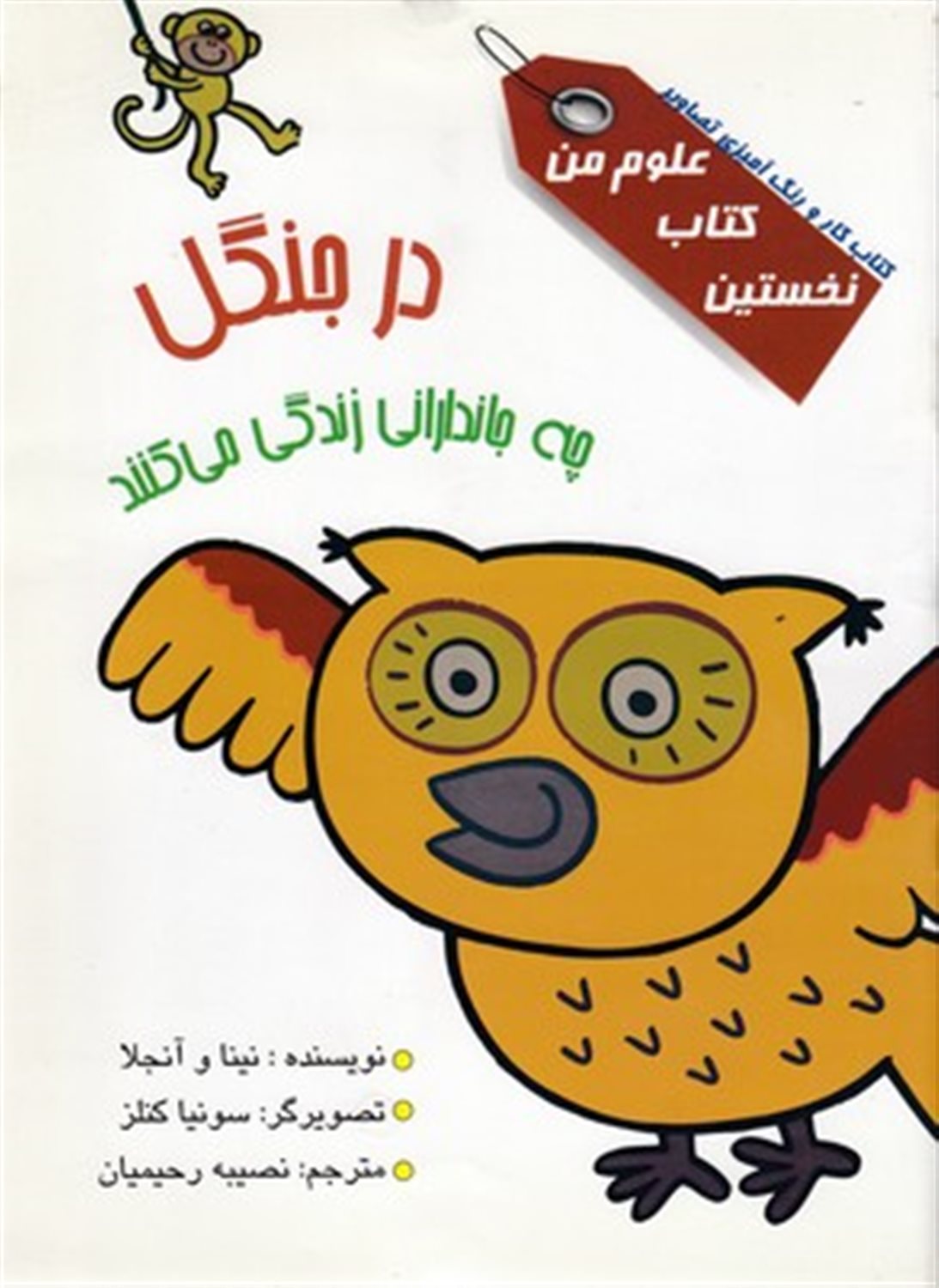 در جنگل چه جاندارانی زندگی می کنند؟