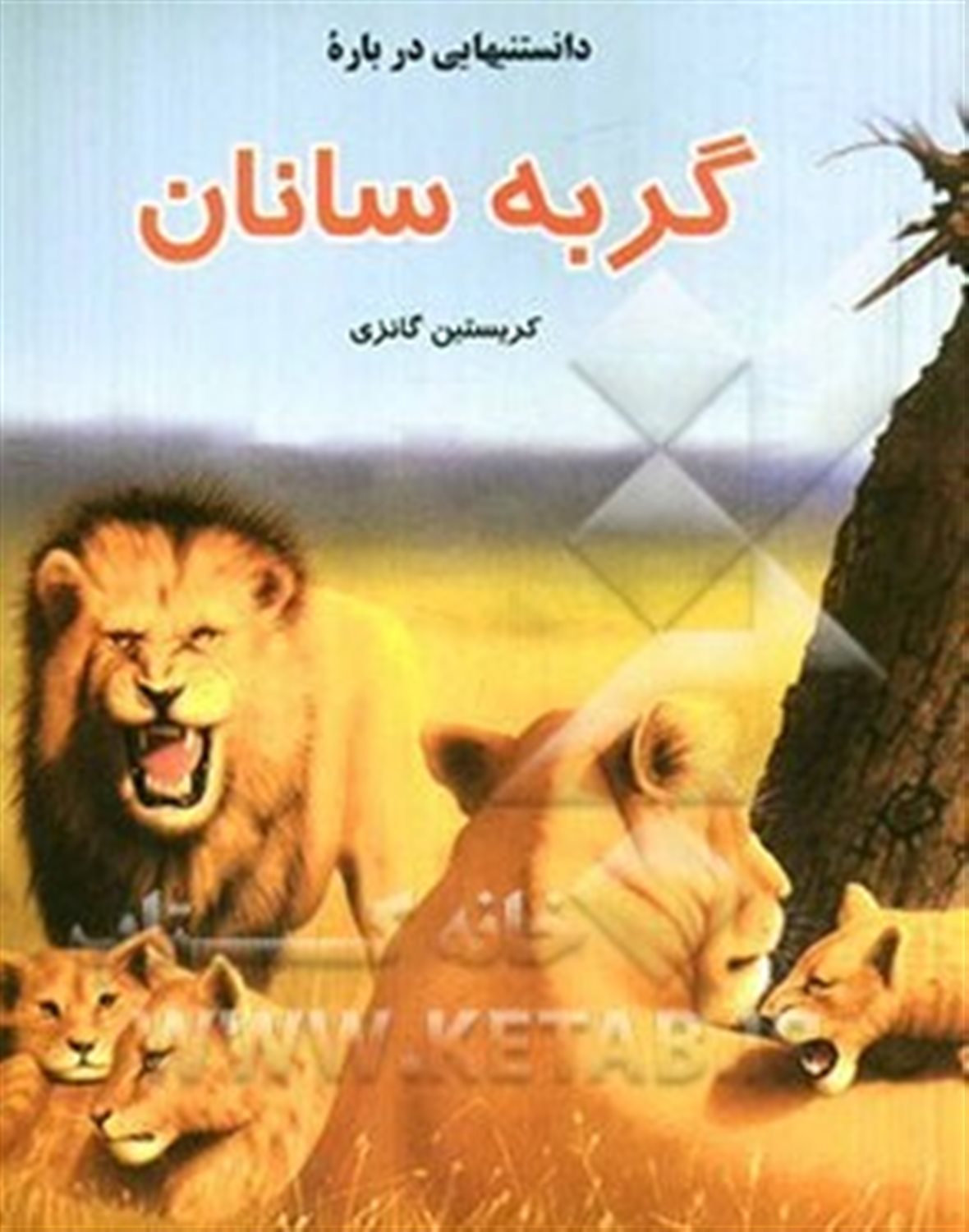 دانستنی هایی درباره ی گربه سانان