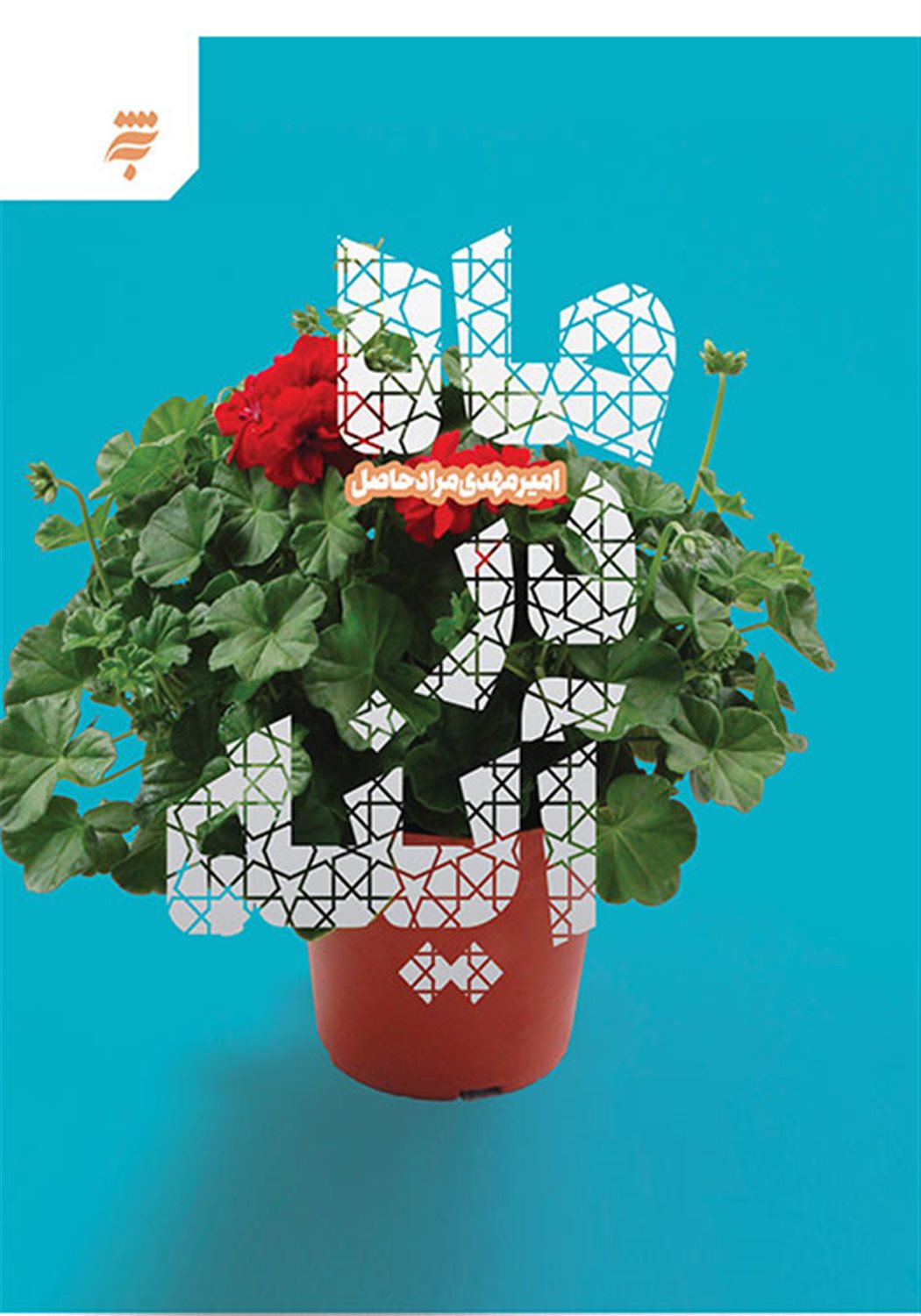 ماه در آینه