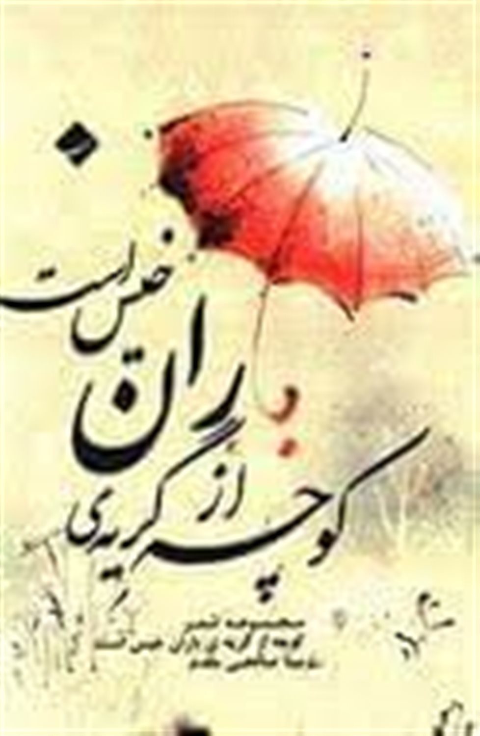کوچه از گریه ی باران خیس است