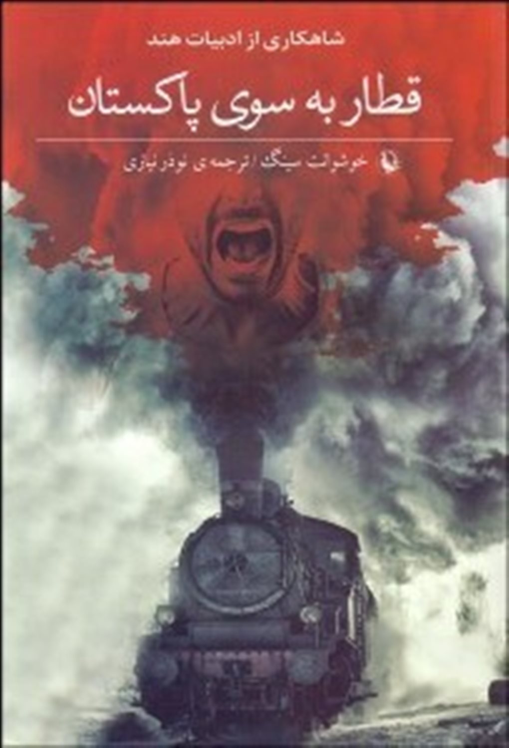 قطار به سوی پاکستان: رمان