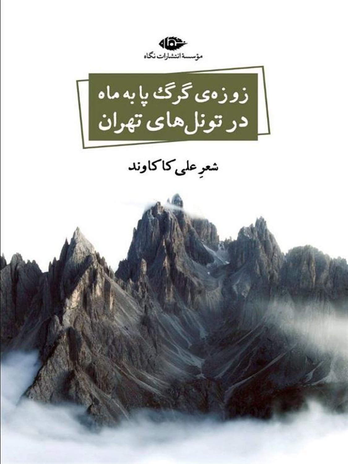 زوزه ی گرگ پا به ماه در تونل های تهران