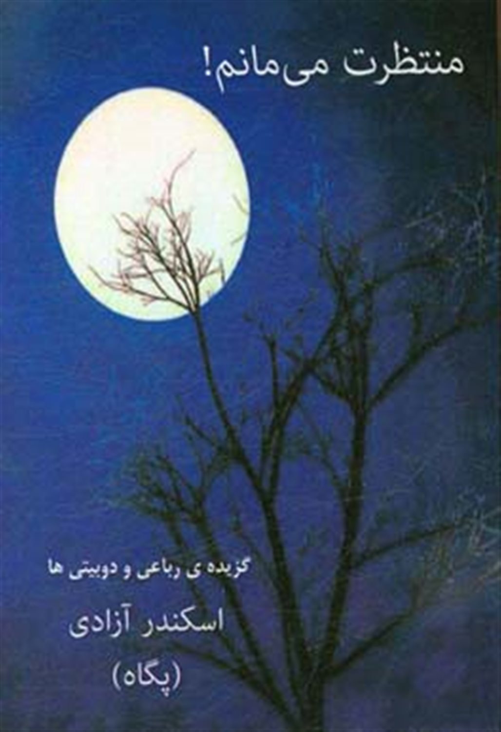 منتظرت می مانم !: گزیده ی رباعی و دوبیتی ها