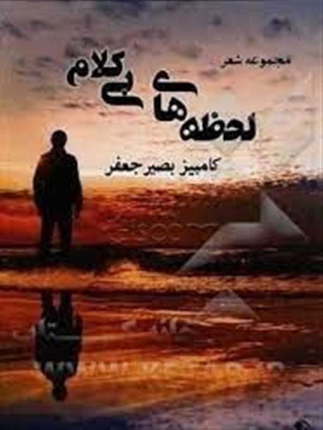 لحظه های بی کلام