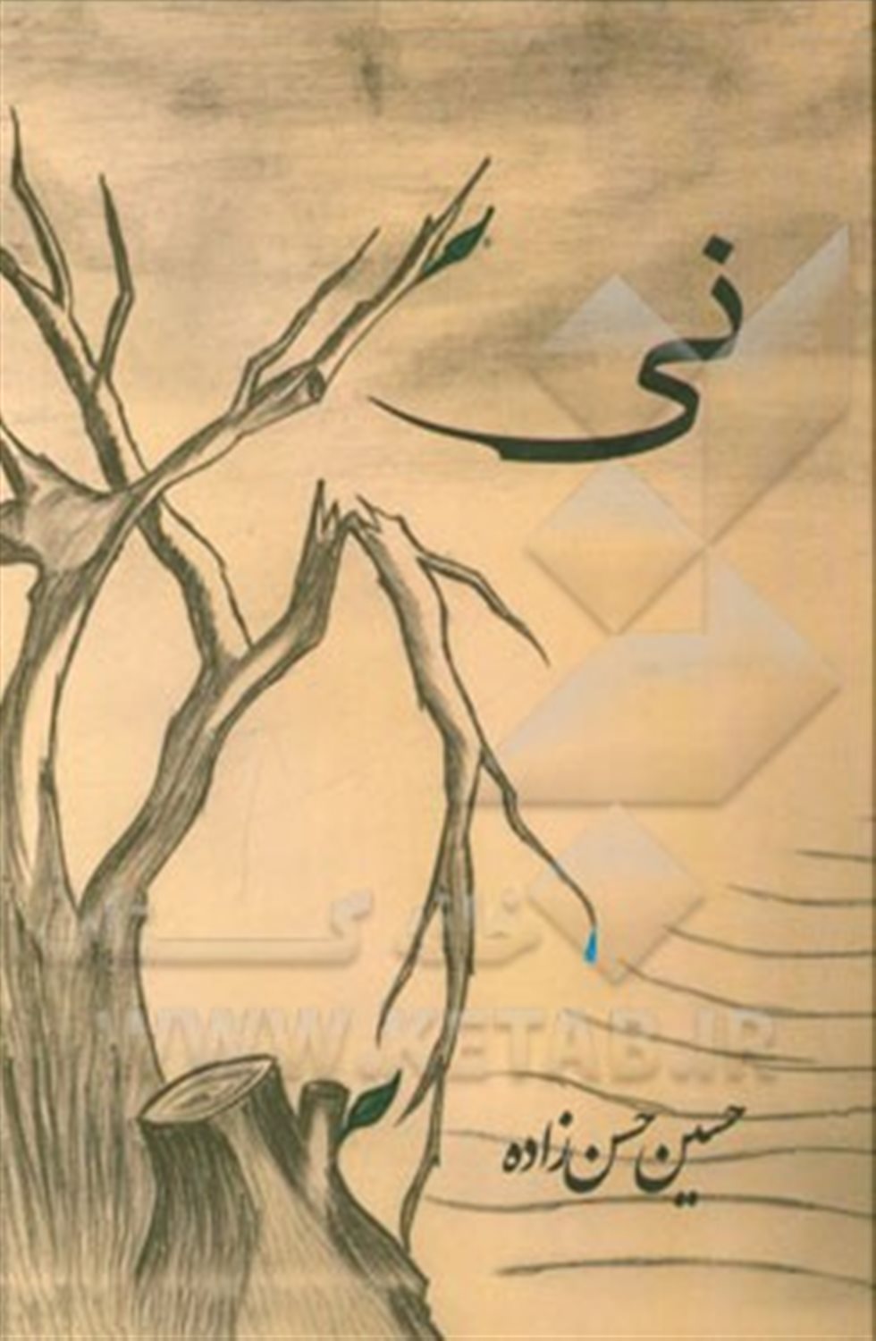 نی