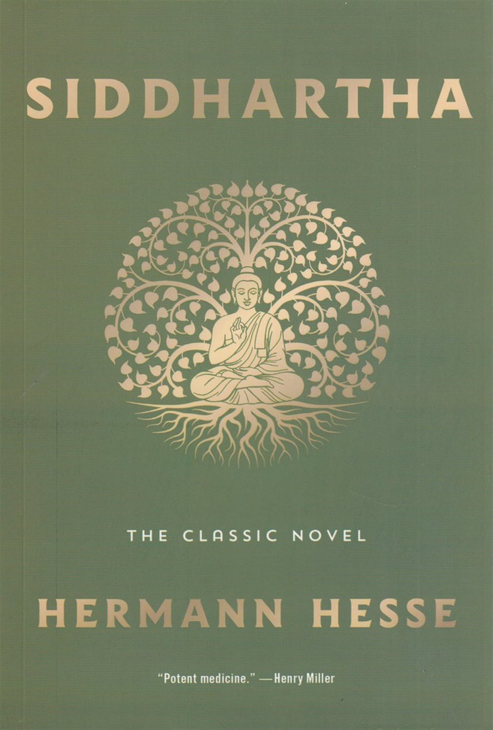 Siddhartha 