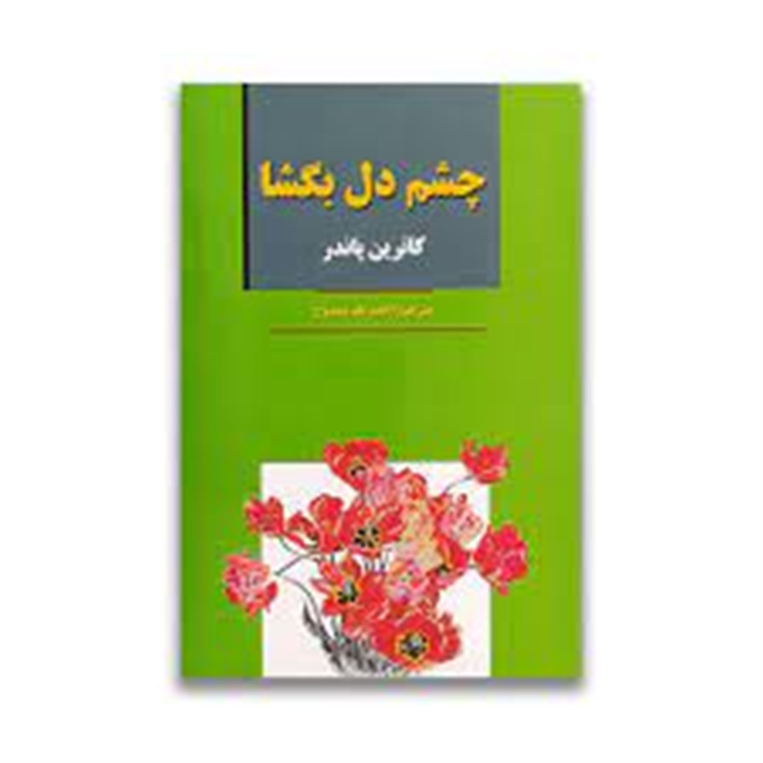 چشم دل بگشا
