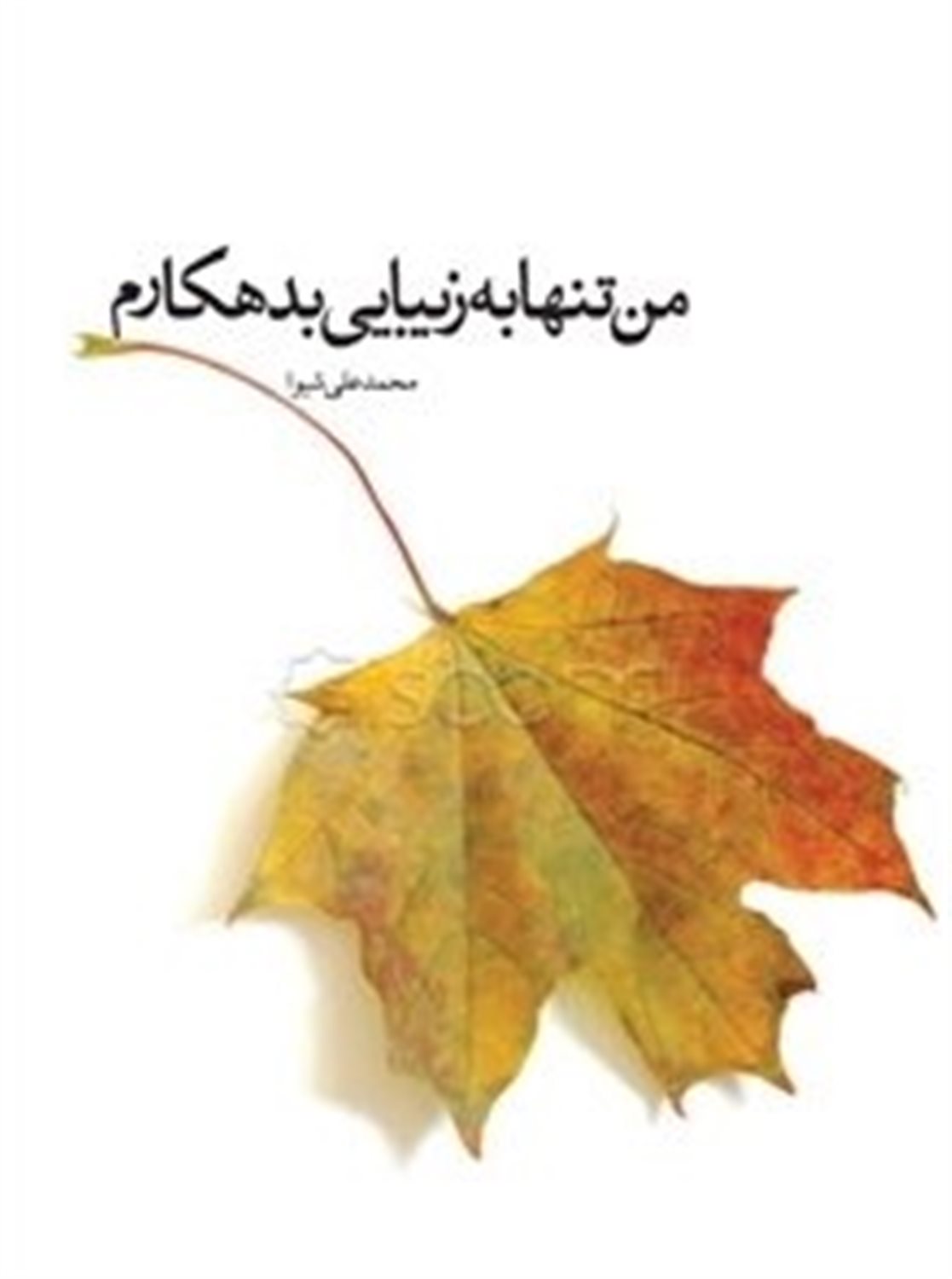 من تنها به زیبایی بدهکارم