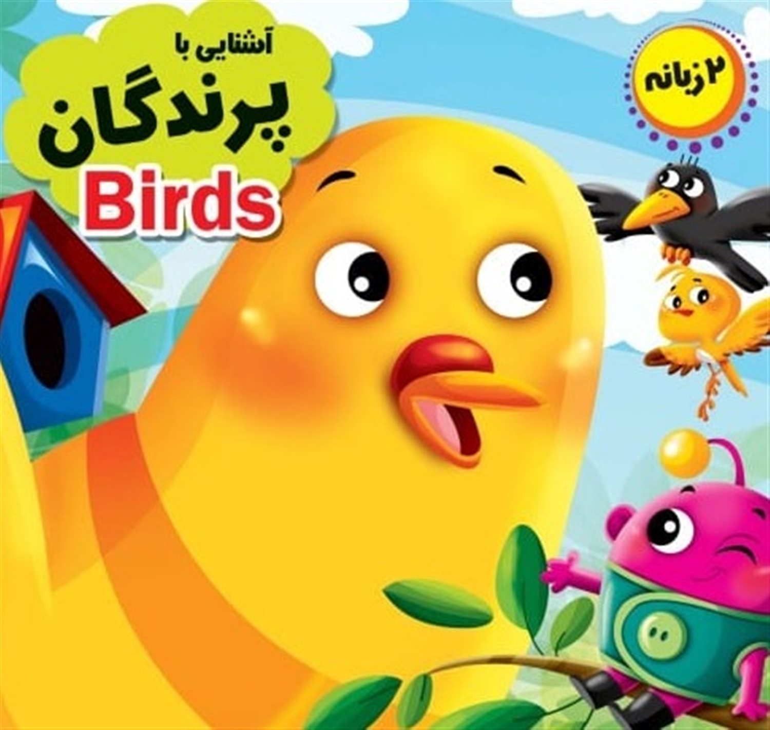 چشمی آشنایی با پرندگان