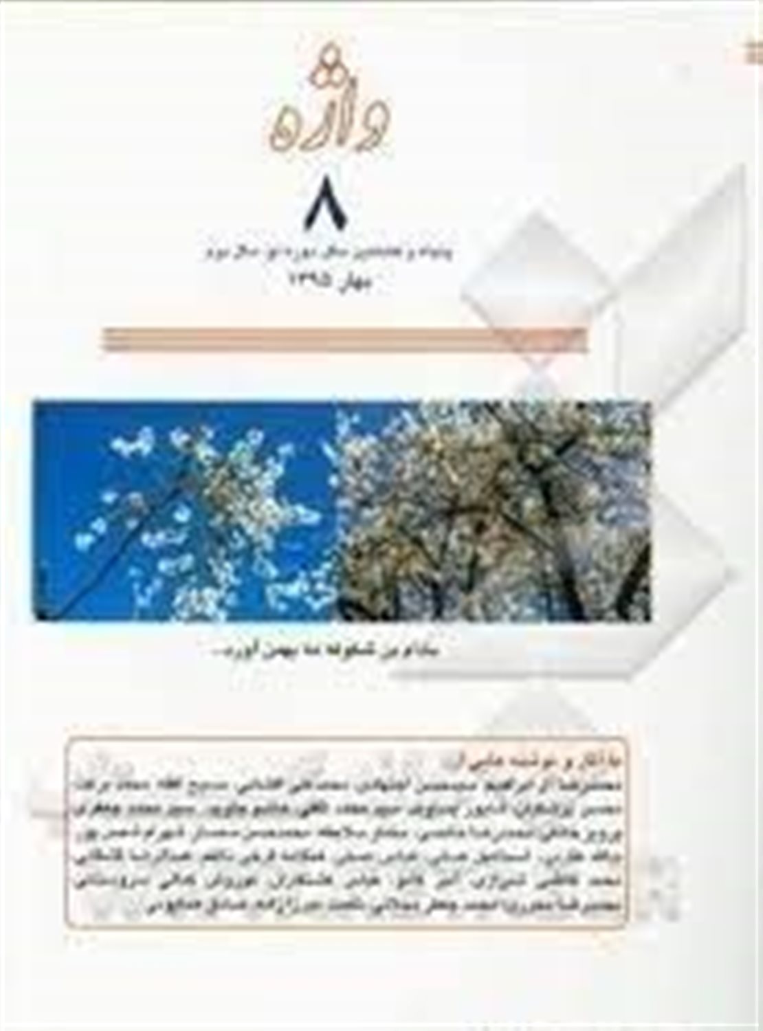 واژه 8