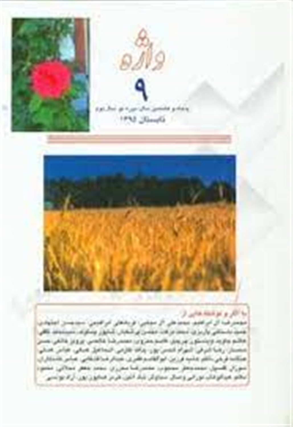 واژه 9