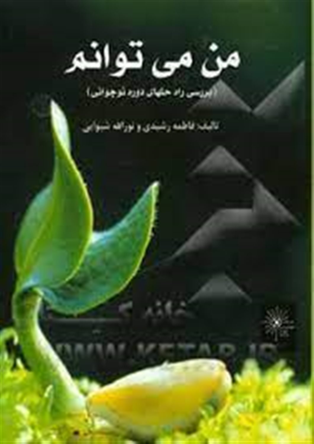 من می توانم