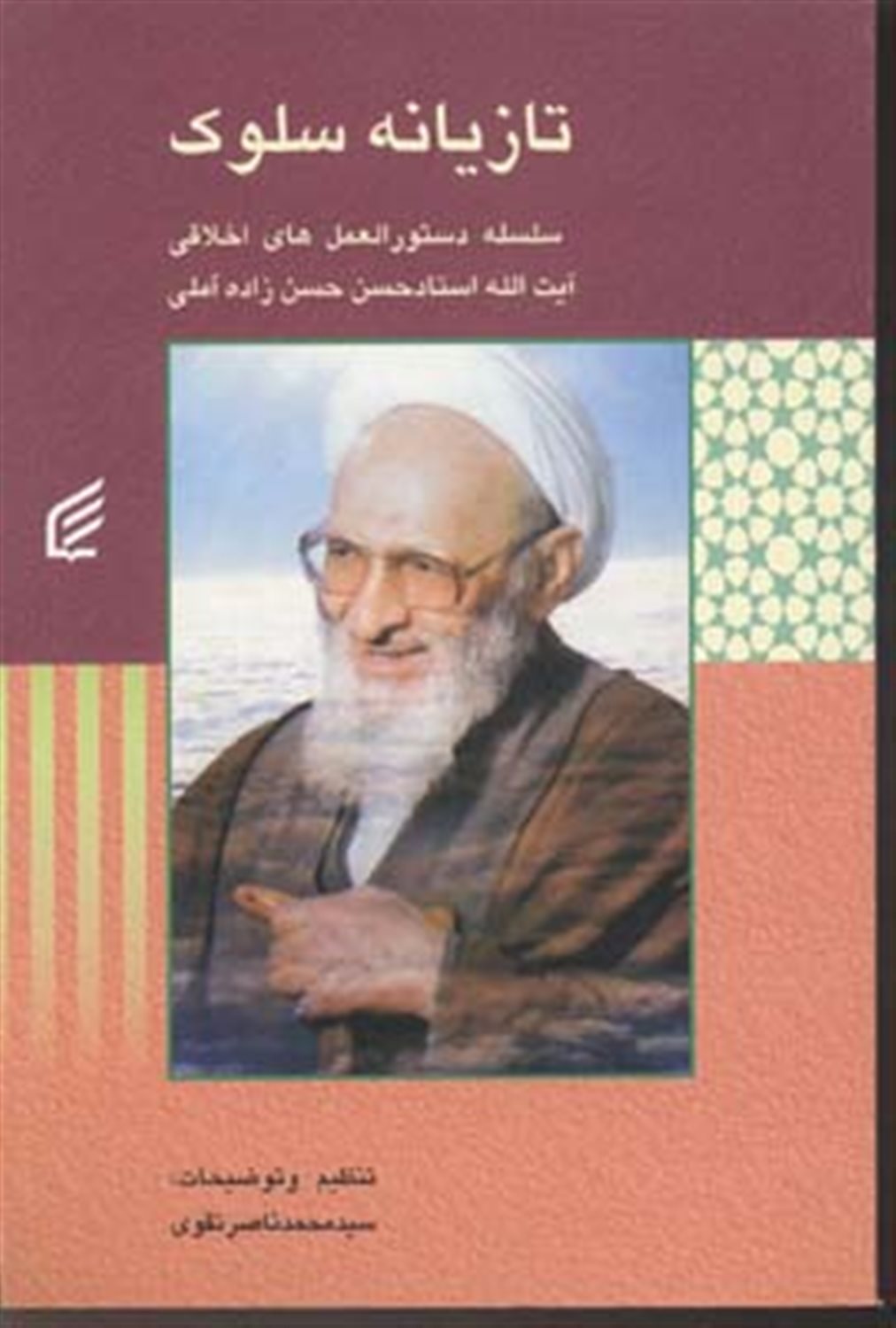 تازیانه سلوک 