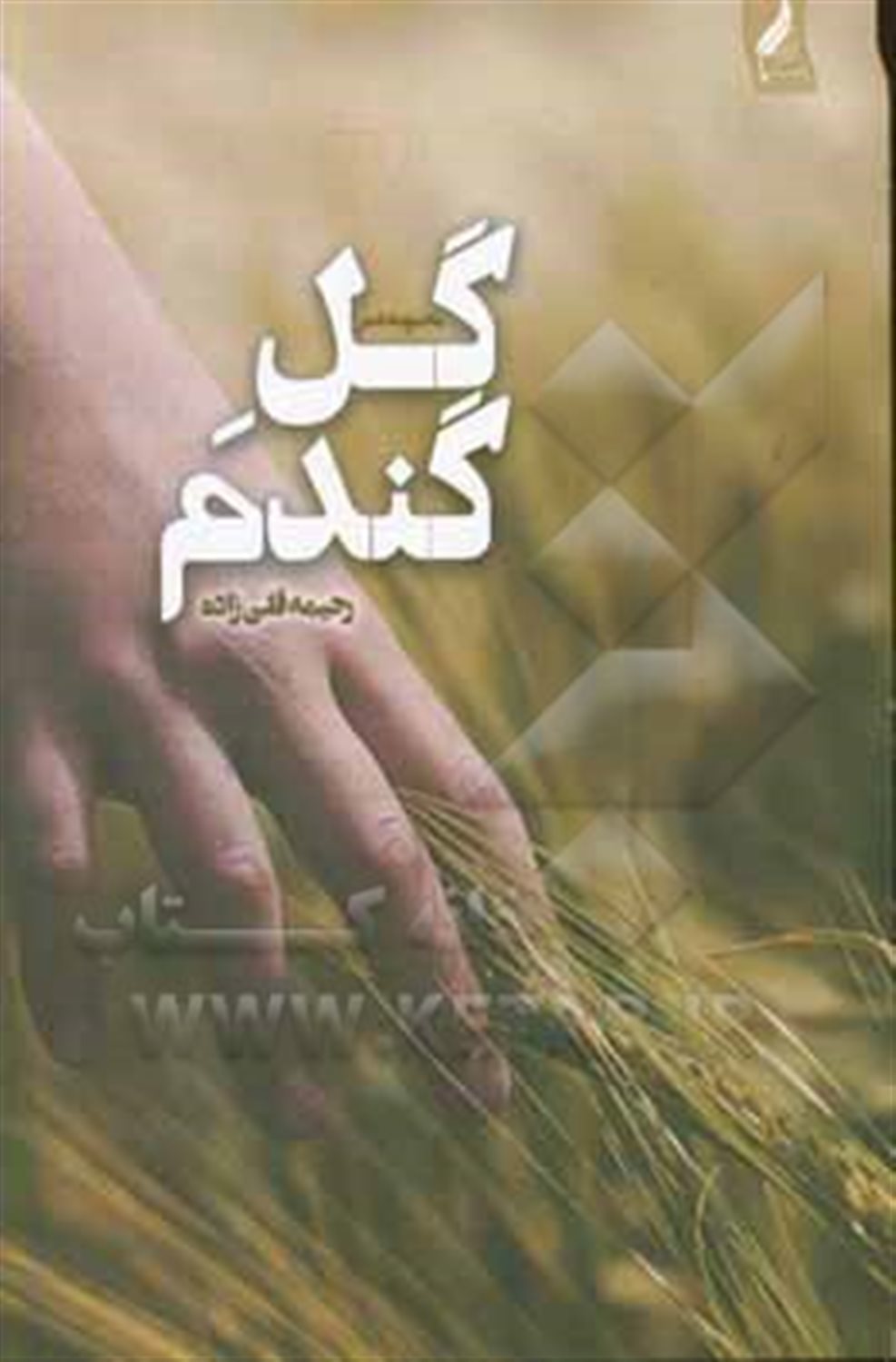 گل گندم