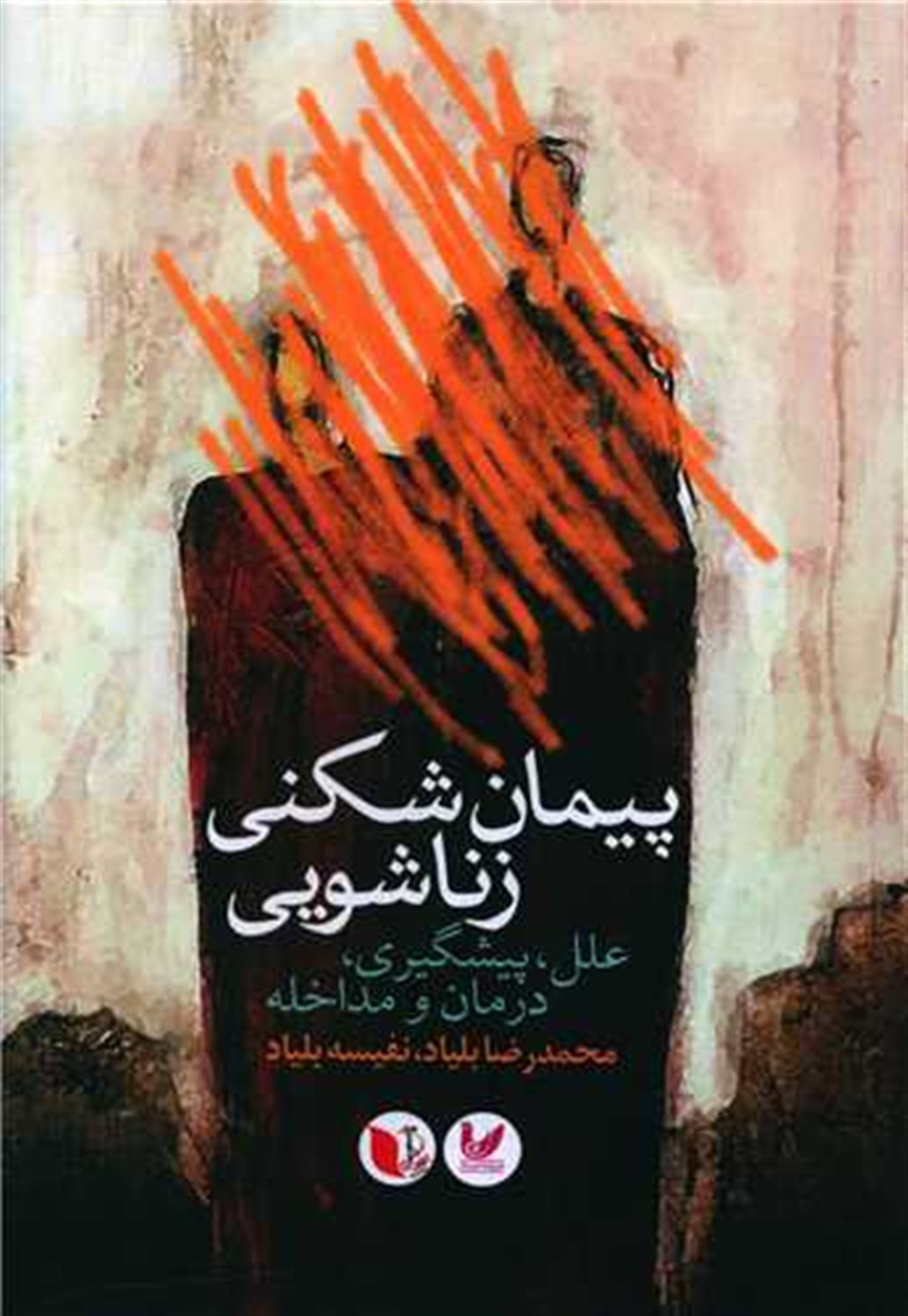 پیمان شکنی زناشویی 