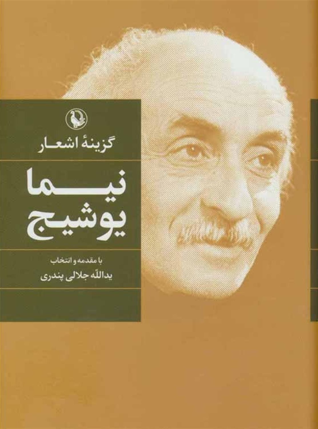 گزینه اشعار: نیما یوشیج