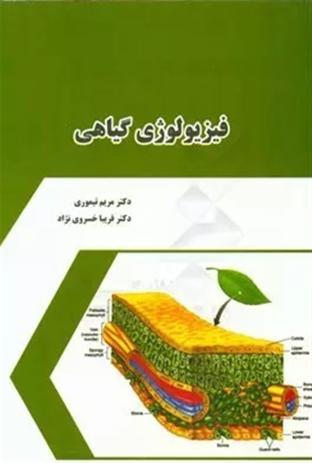 فیزیولوژی گیاهی