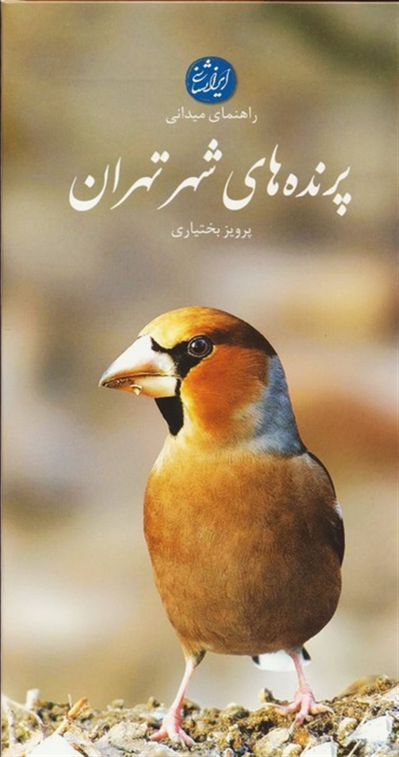 پرنده‌های شهر تهران 