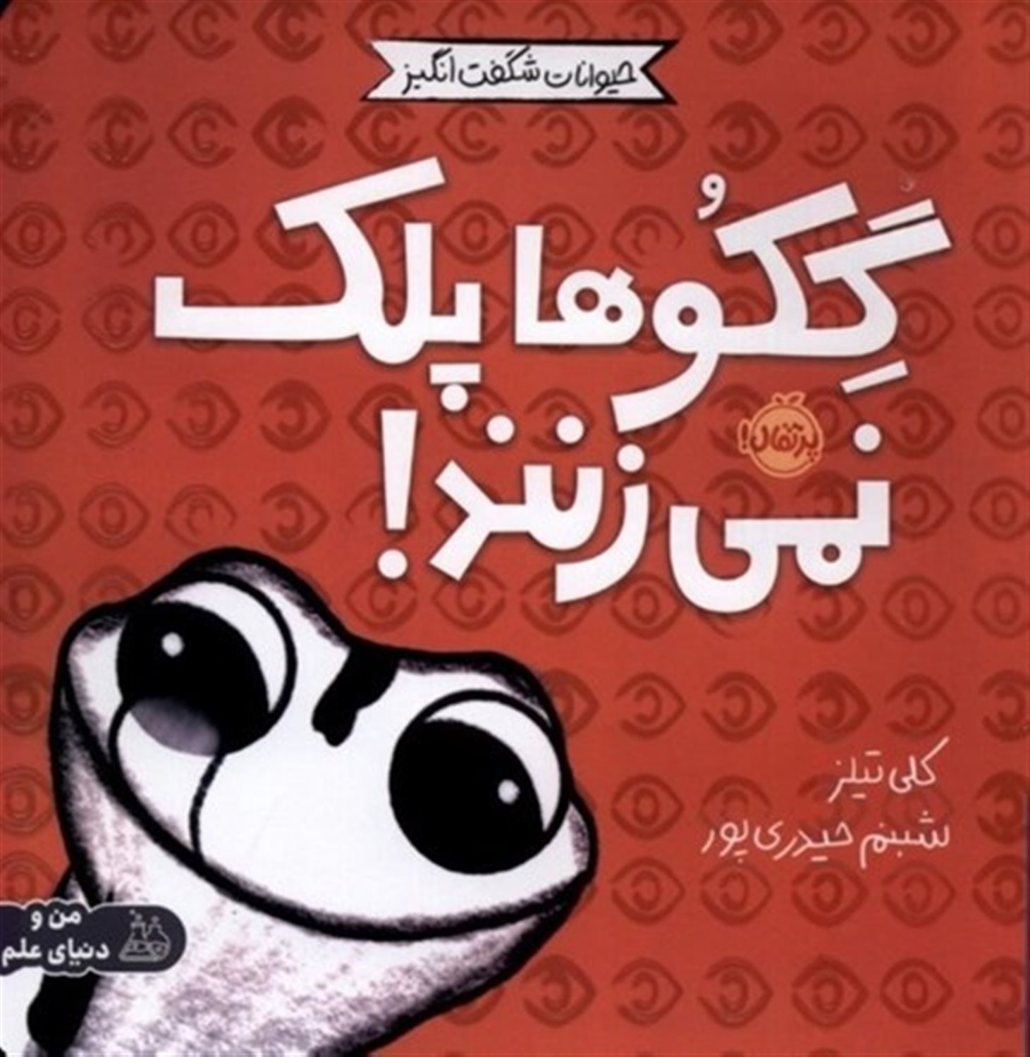 حیوانات شگفت‌انگیز (گکوها پلک نمی‌زنند!)
