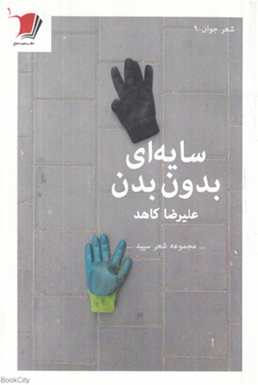 سایه ای بدون بدن