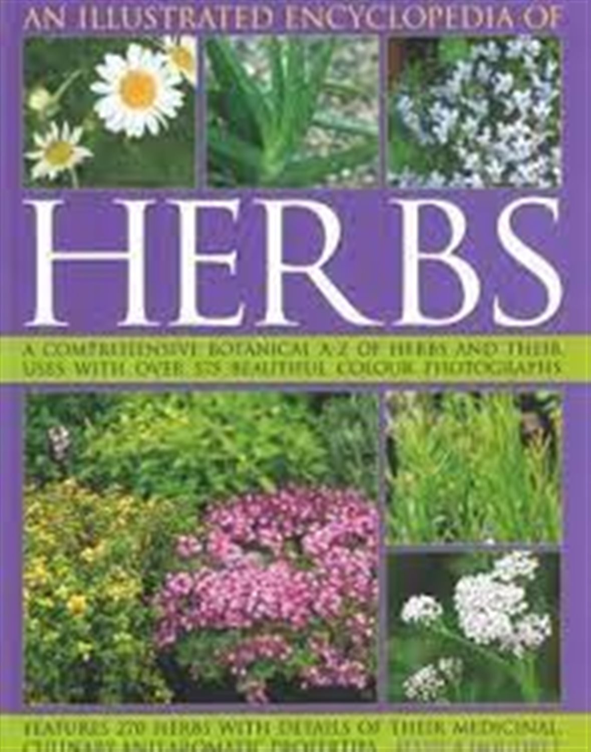 herbs 